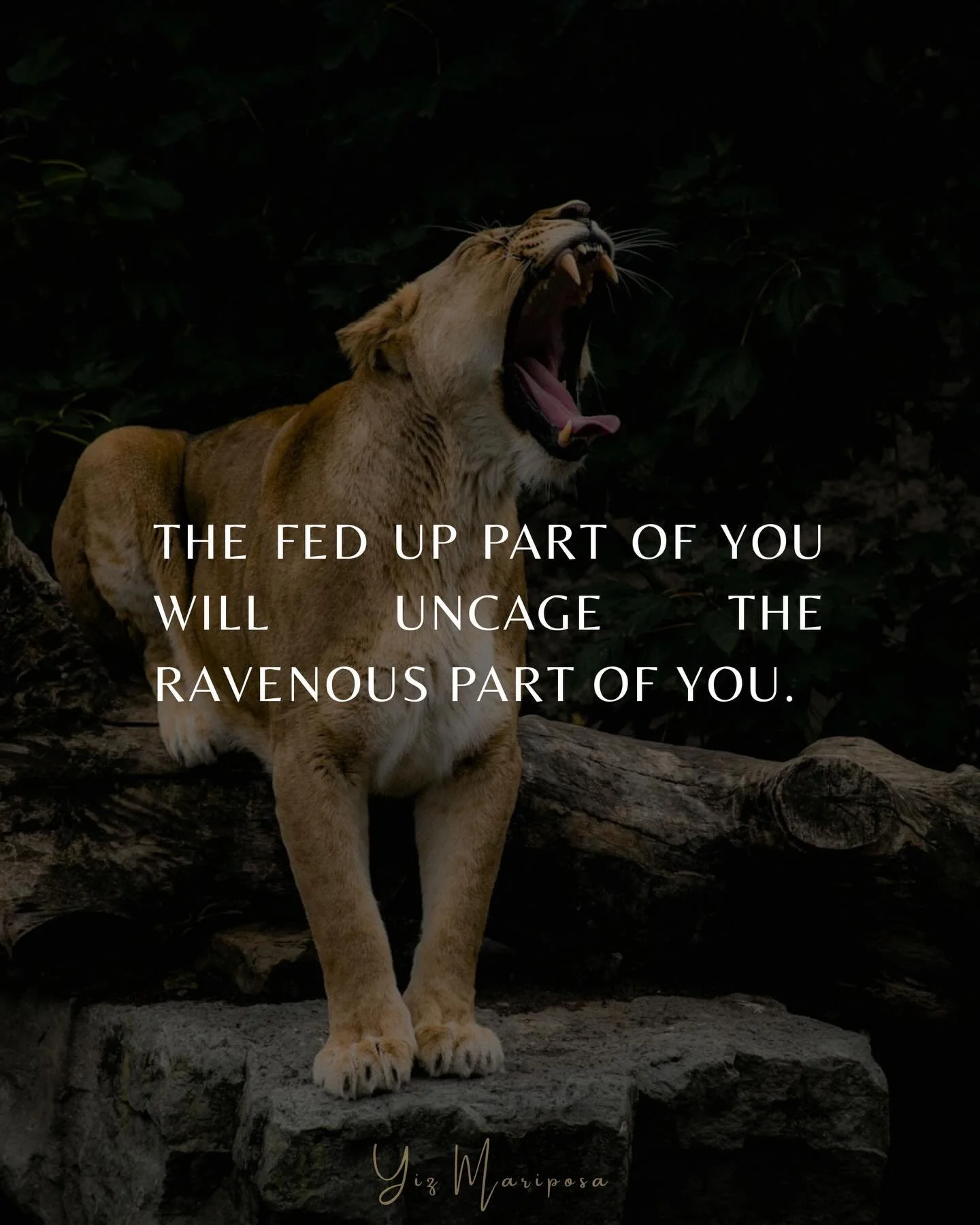 From Doubt to Destiny 🐦&zwj;🔥✨💎

7-day initiation begins TOMORROW!

last chance to hop in for free boo!

+ 7 days through my Doubt to Destiny Formula
+ 2x live calls
+ daily trainings / activations
+ sisterhood community of boss babes

ready to di
