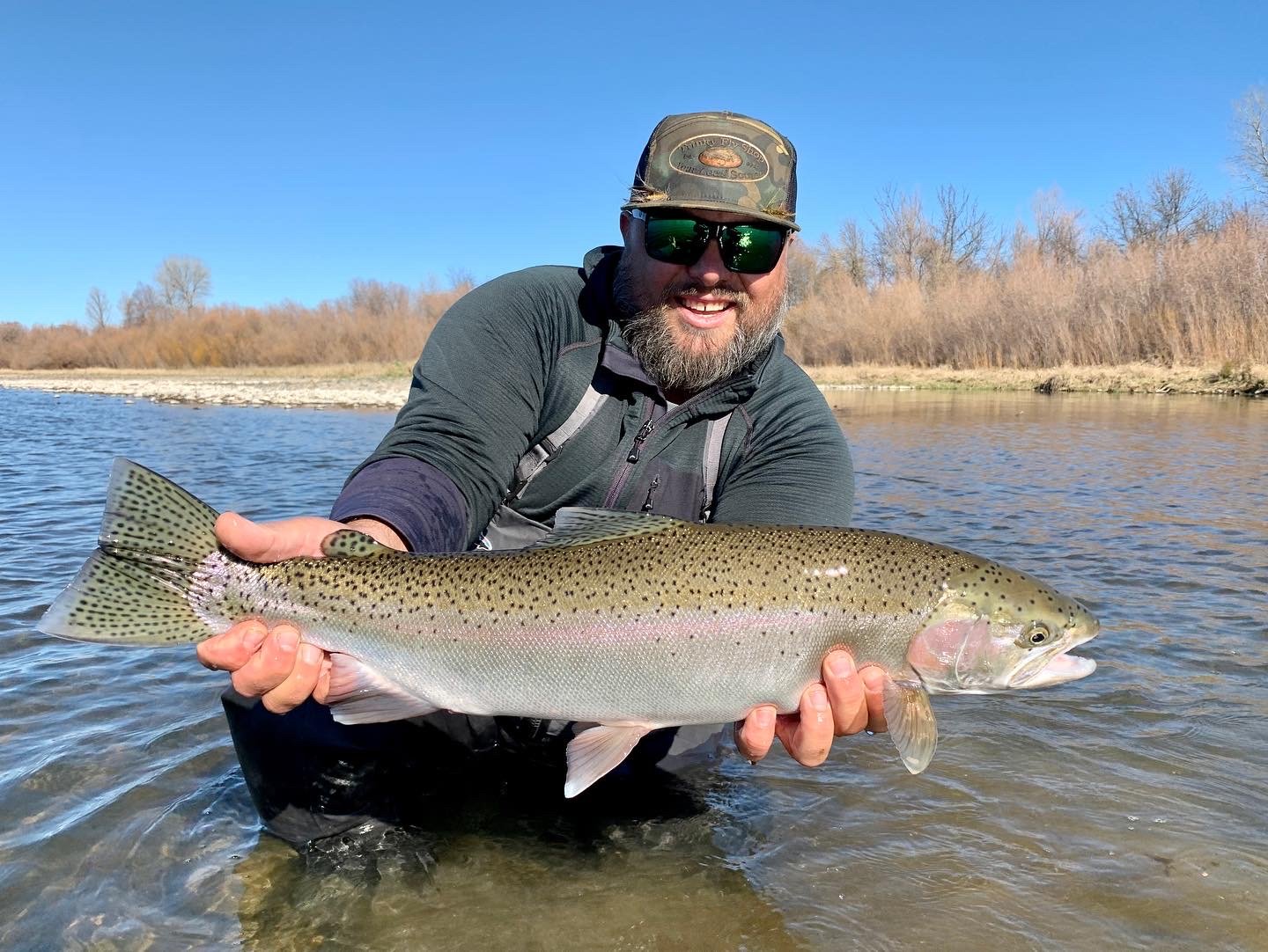 Lower Sacramento River Trout Spey-image.jpeg