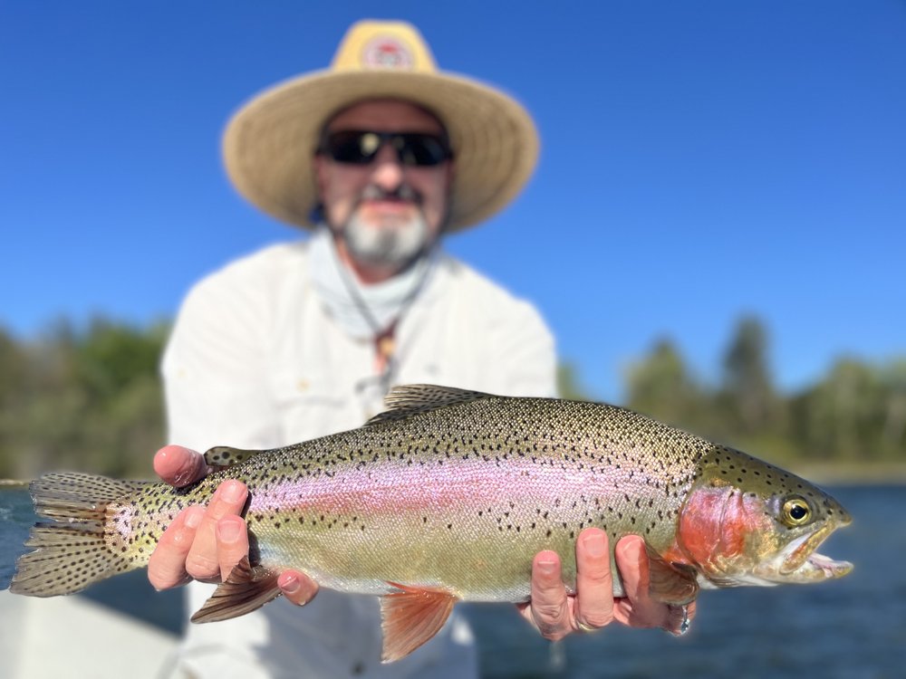 Sacramento River (full day-fly fishing)-image (4).jpeg
