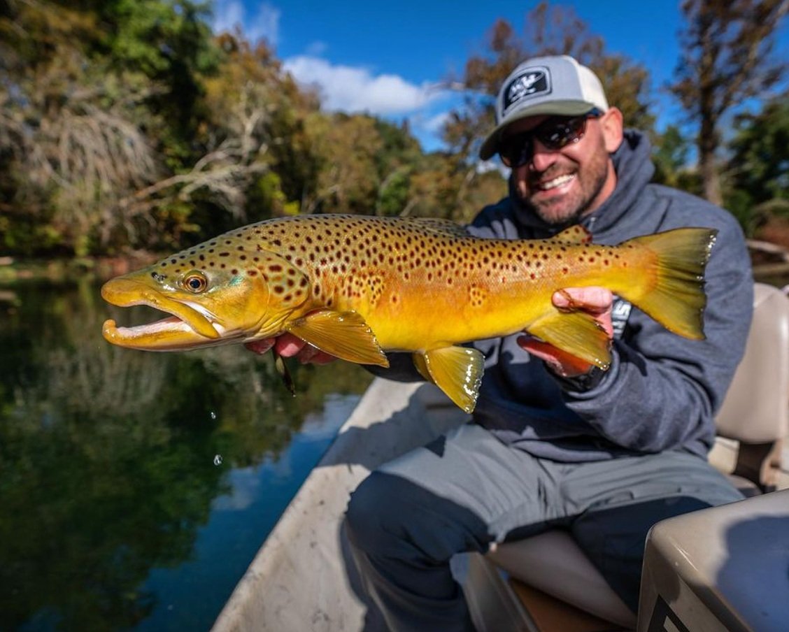 Big brown trout caught by a Patrick Fulkrod client