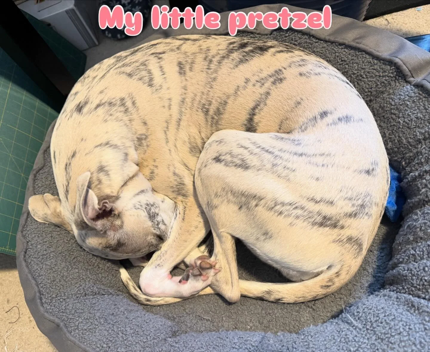 🥰&hearts;️🥰
🥨🥨🥨