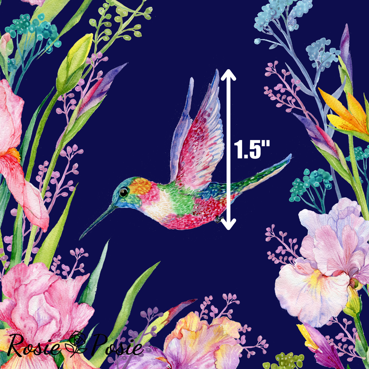 Hummingbird_1.5.png