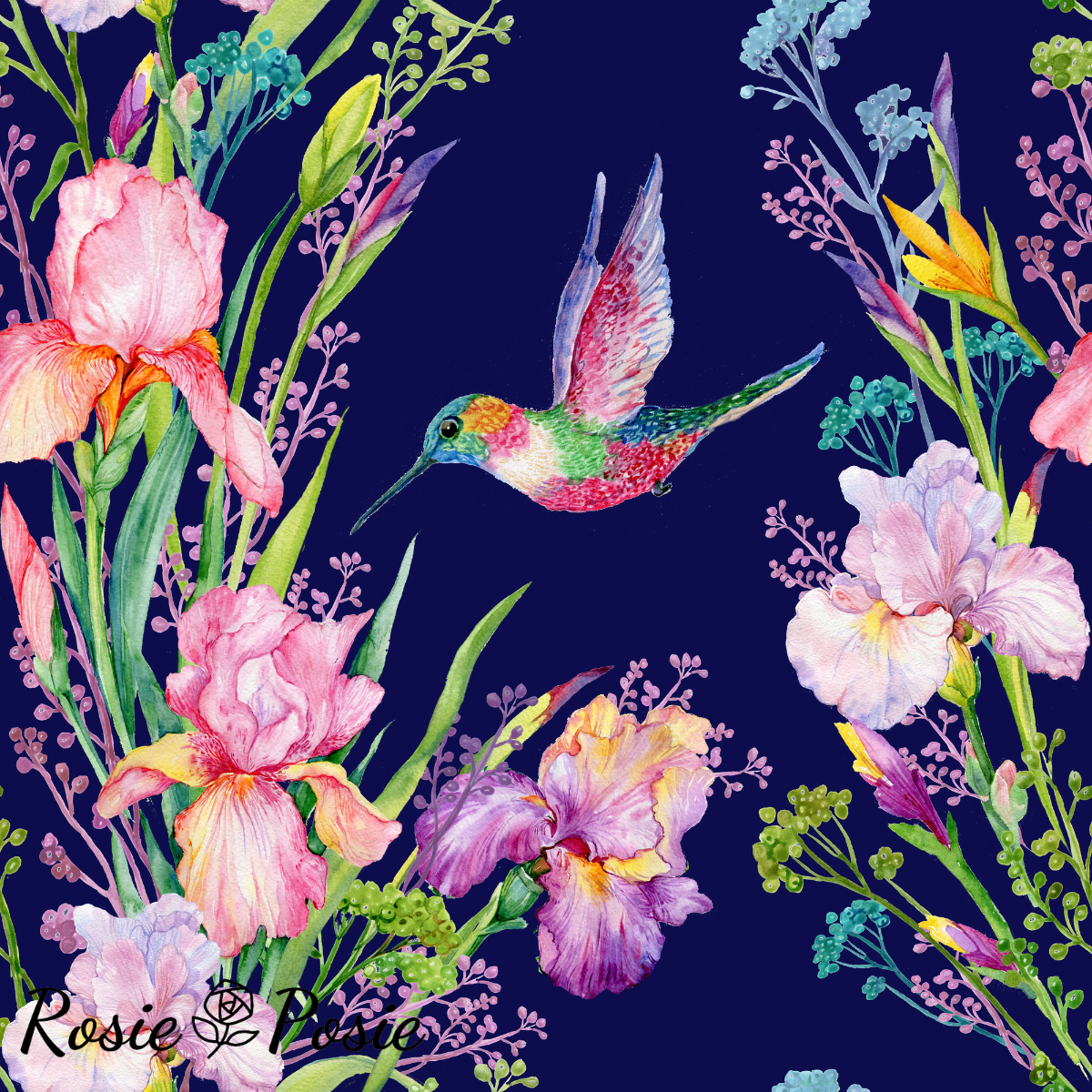 PUL - HUMMINGBIRD