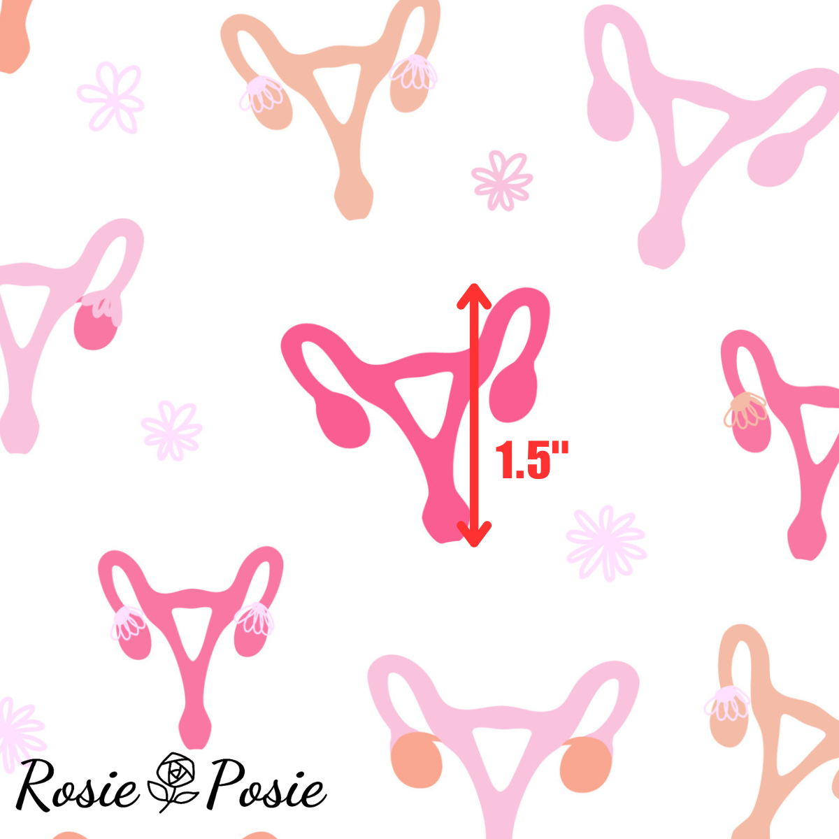 Uterus_White_1.5.png