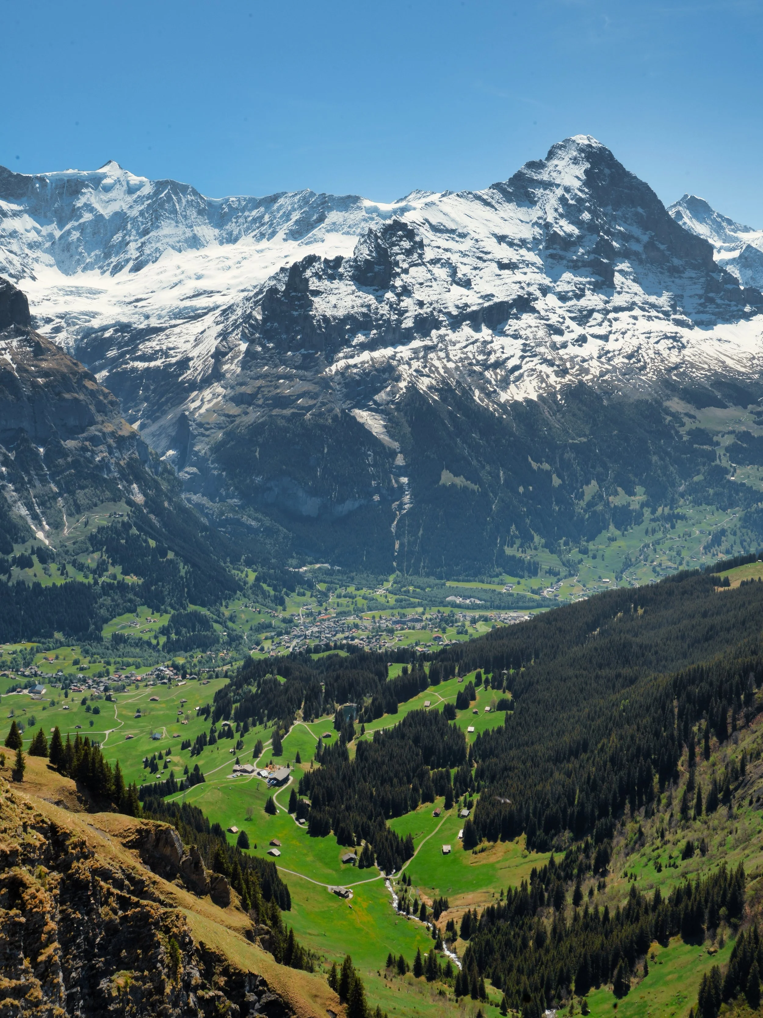 Need to go back immediately 🏔️

#mountains #switzerland #eurosummer