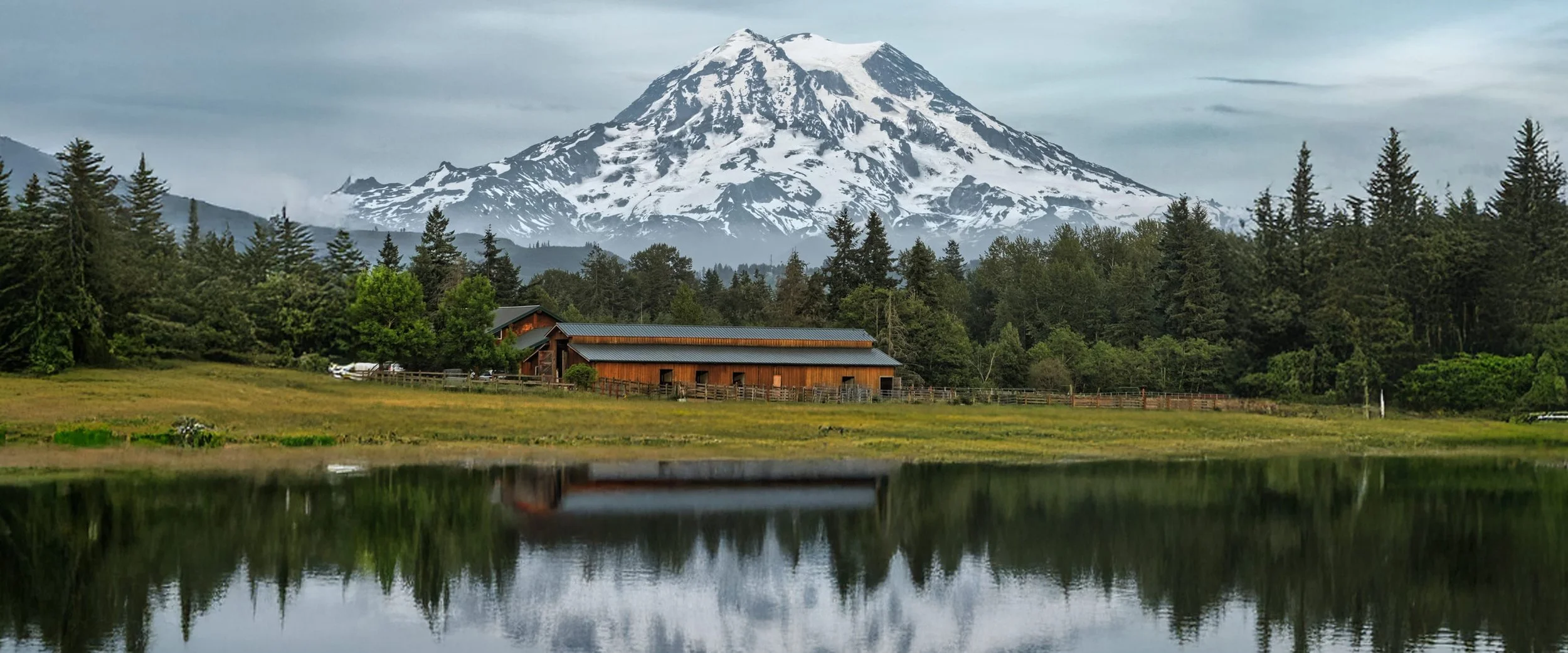 Generative Expand.jpg