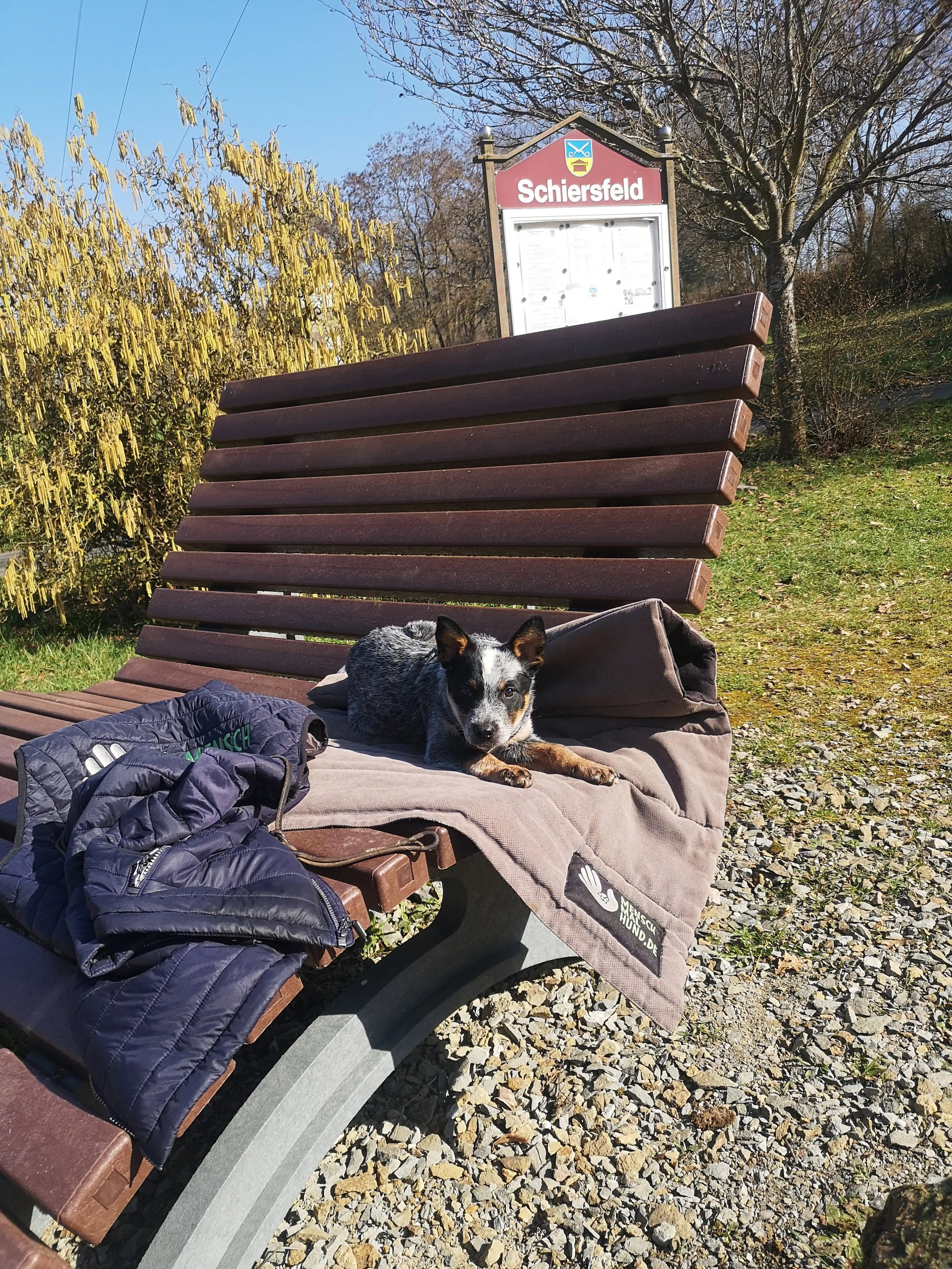 2026-03-05 12.30.23.jpg