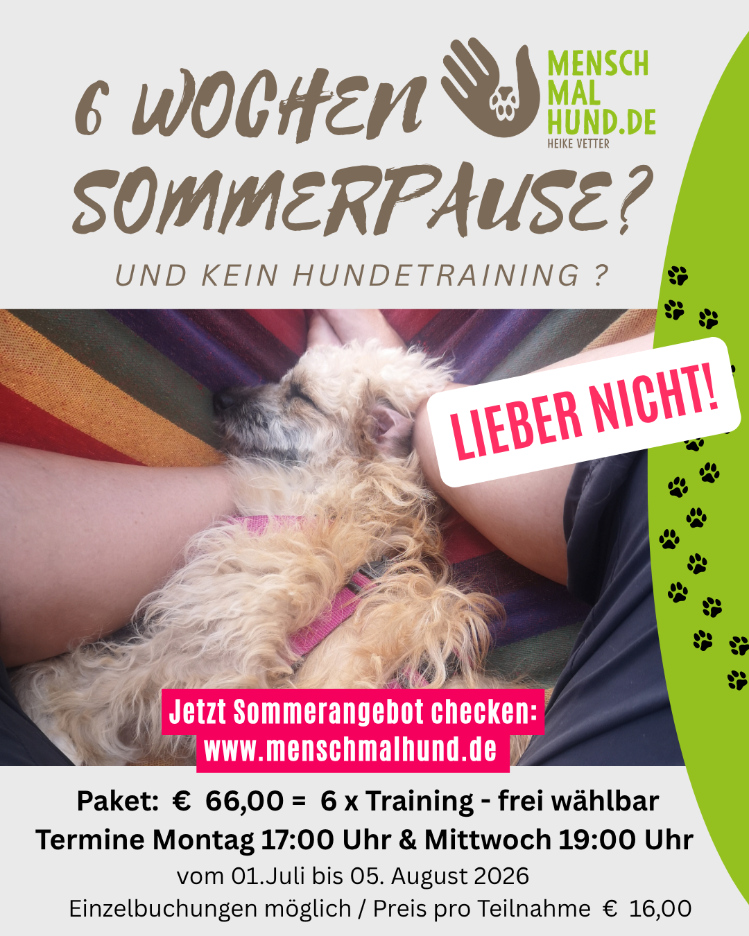 Ferienüberbrücker 2026 Plakat(1).png