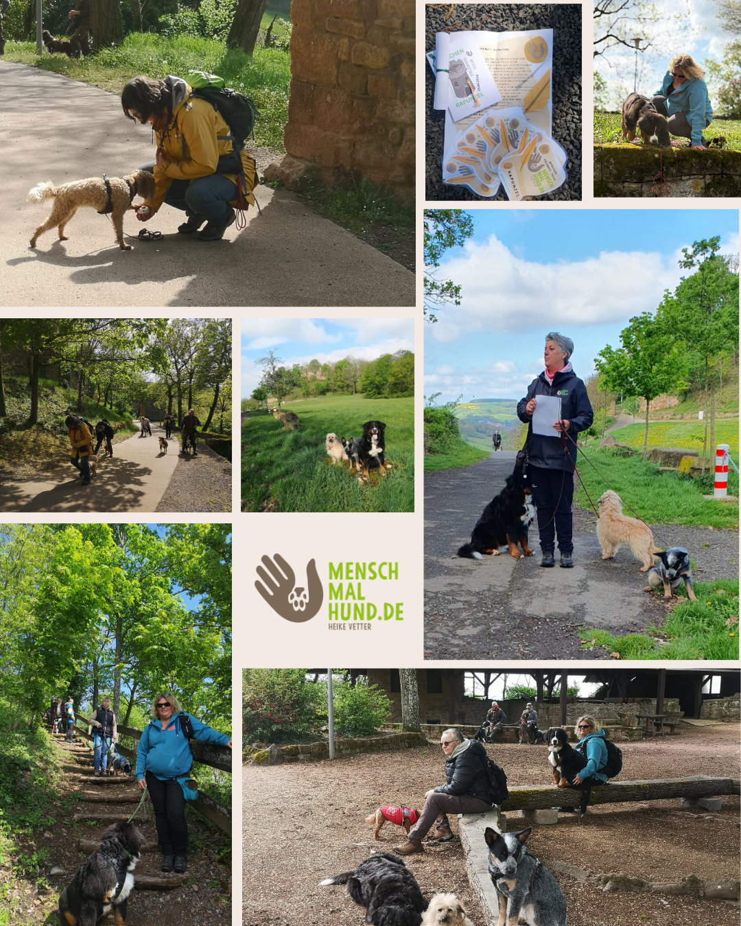 Bilder Märchen ET Rapunzel 19.04.26.png