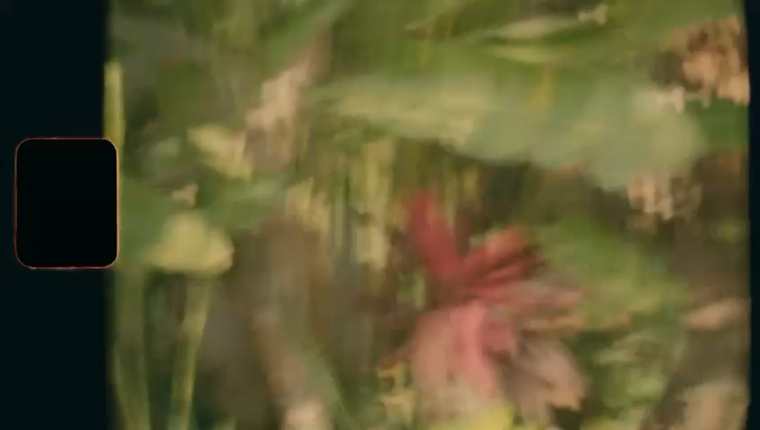 Image 2.png