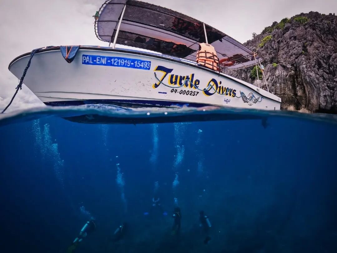 Keep your friends close, and your sea anemones closer.

Don't miss the underwater world of El Nido. Get lost in Paradise, go dive!

#elnidodiving #philippines #palawan #elnido #marinelife #biodiversity #amazingcreatures #lifeunderwater #underwaterpho