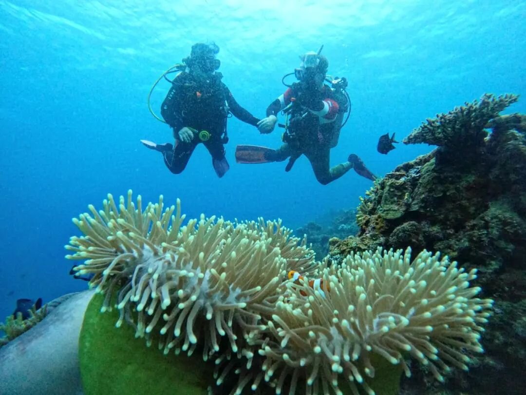 Some people do swimming but the brave people do Diving.👩&zwj;❤️&zwj;👨

Experience underwater life here in El Nido and dive with us!🐢

#paradise #elnidopalawan #palawan #scubadiving #padi #elnido #philippines