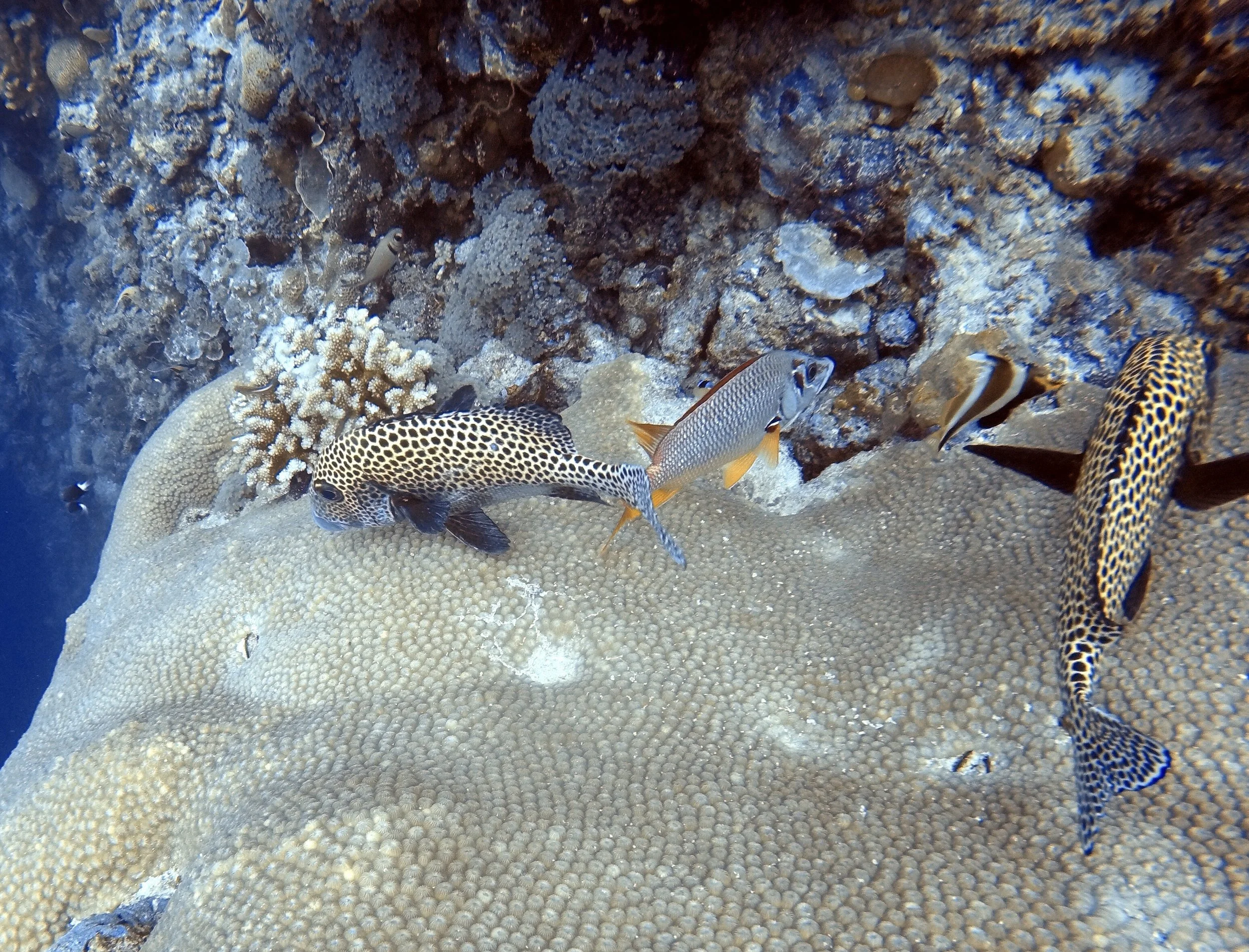 11892316-78D0-46FF-96C7-107A5C691976.jpeg