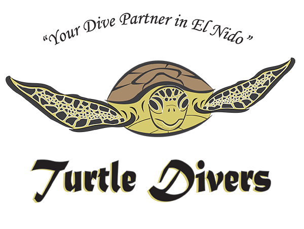 Turtle Divers