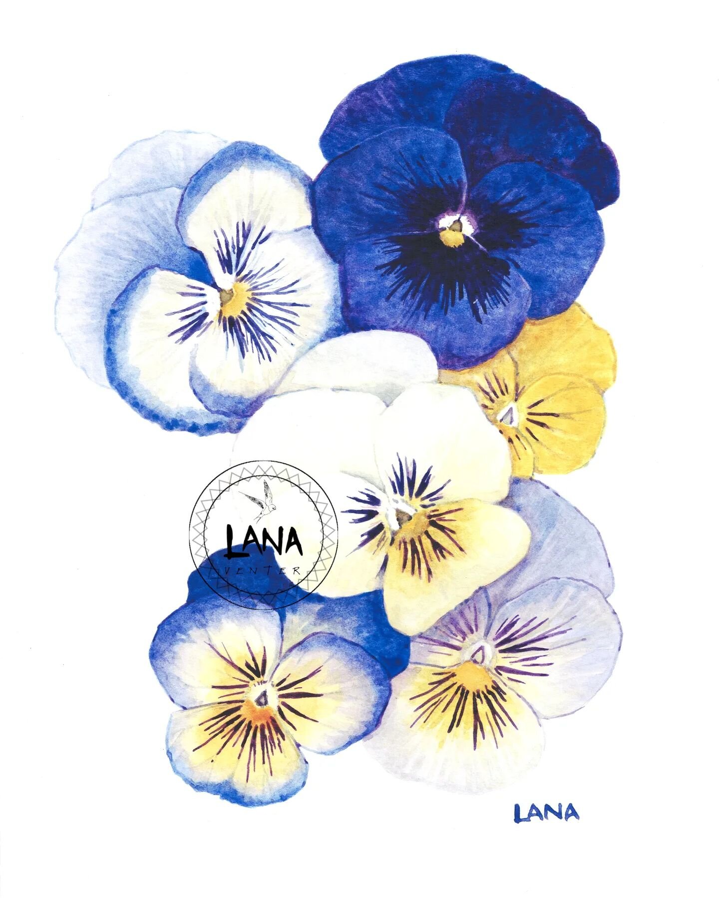 The Flowers My Mom Loved:

Pansies. Many colourful pansies.

Annually my mom filled the elongated pots in front of our windows with colourful seedlings. The planter in front of our house and a couple of odd pots here and there were also decorated wit