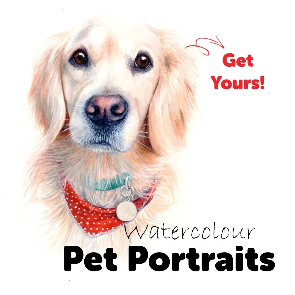 Watercolour Pet Portraits

I'm open for orders! 

Have a furry friend at home?  A pet you would like to commemorate? A fascination with a wild one?

Whether it be a donkey, a canary, a chubby hippo or an adorable lion cub, this is where your dream ca