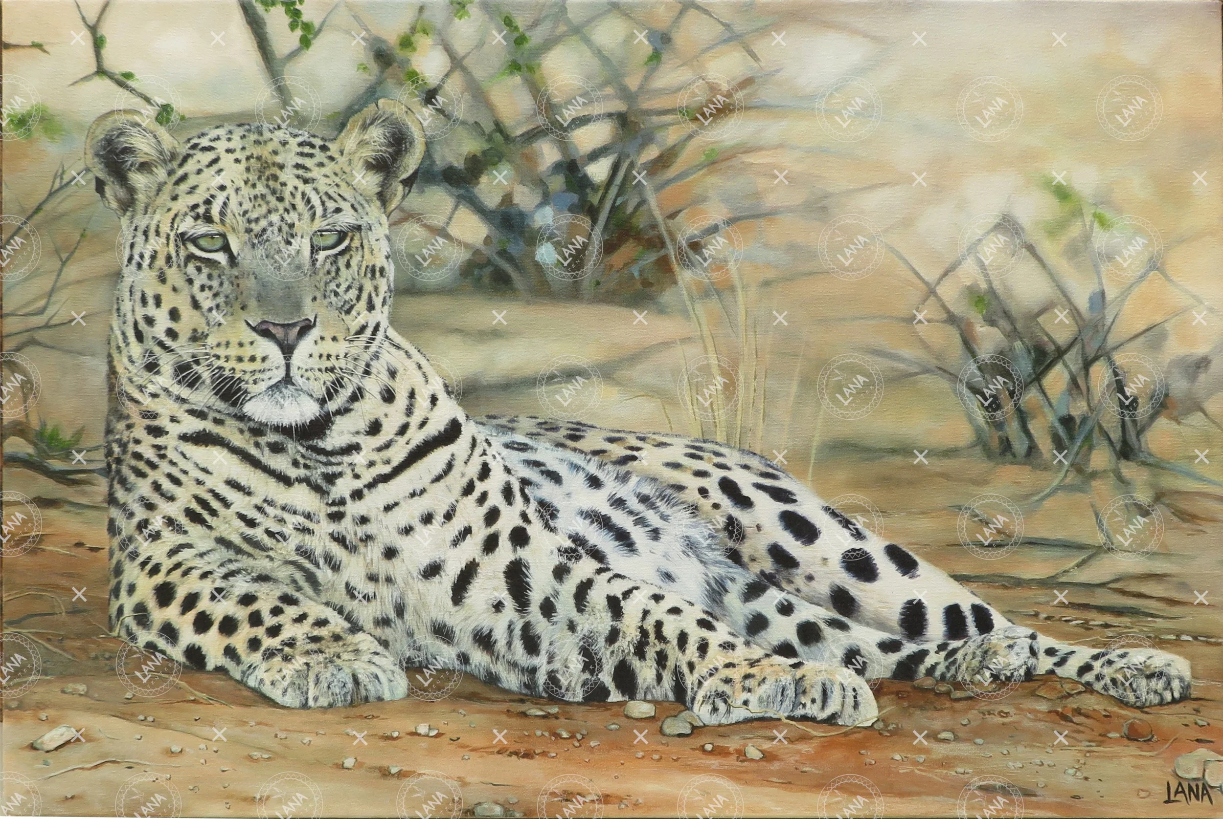 wVisser Luiperd Mannetjie.JPG