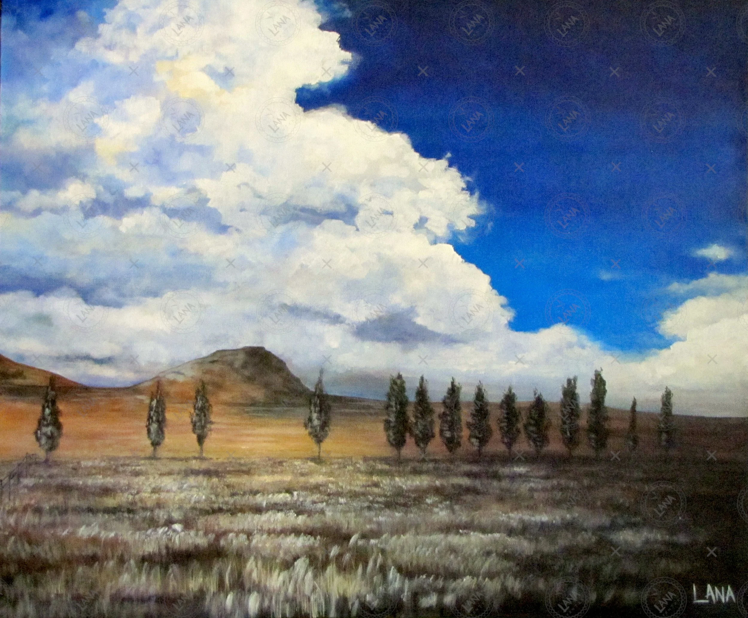 wCloudy Free State.JPG