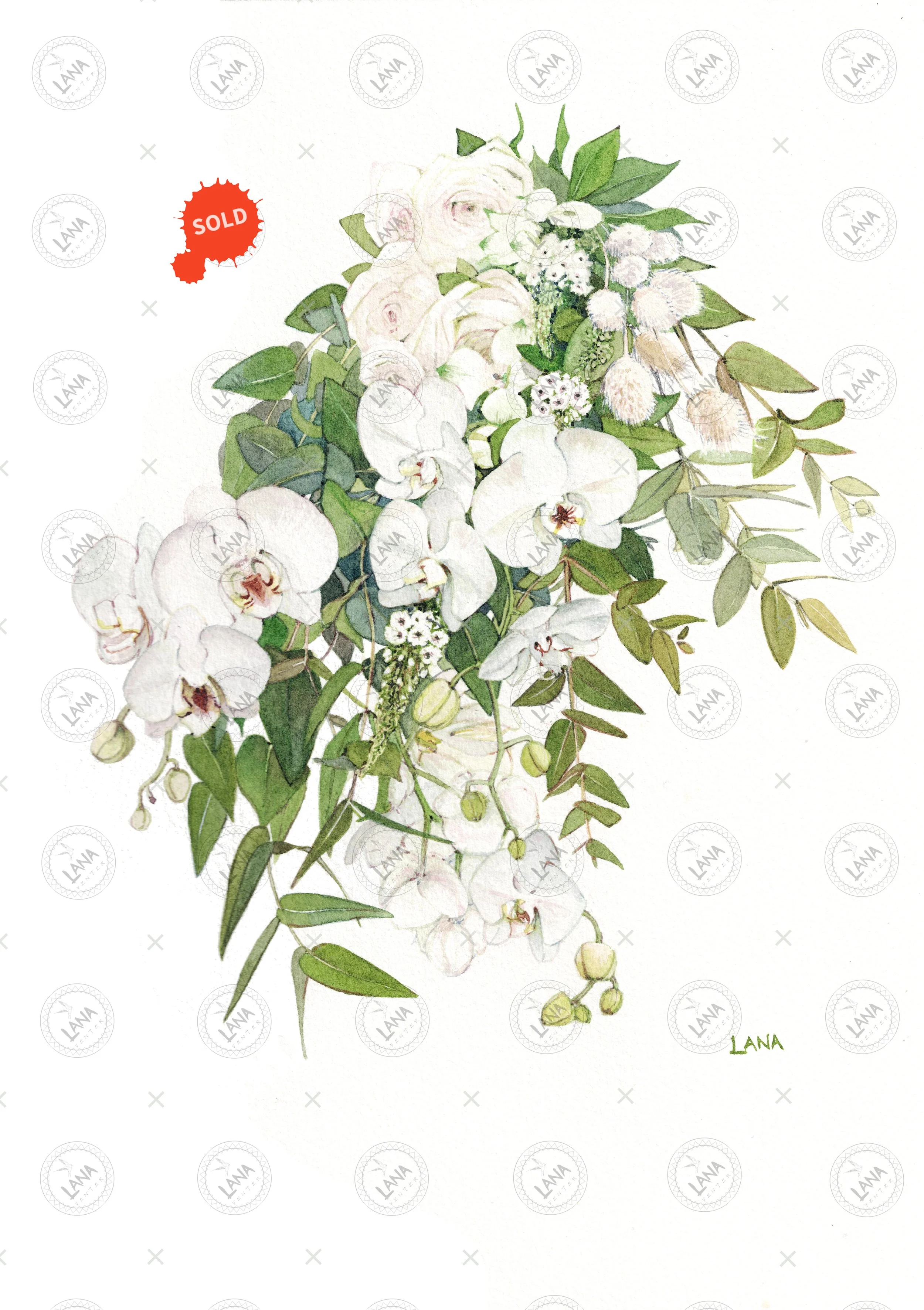 WA456_Carina Bouquet.jpg