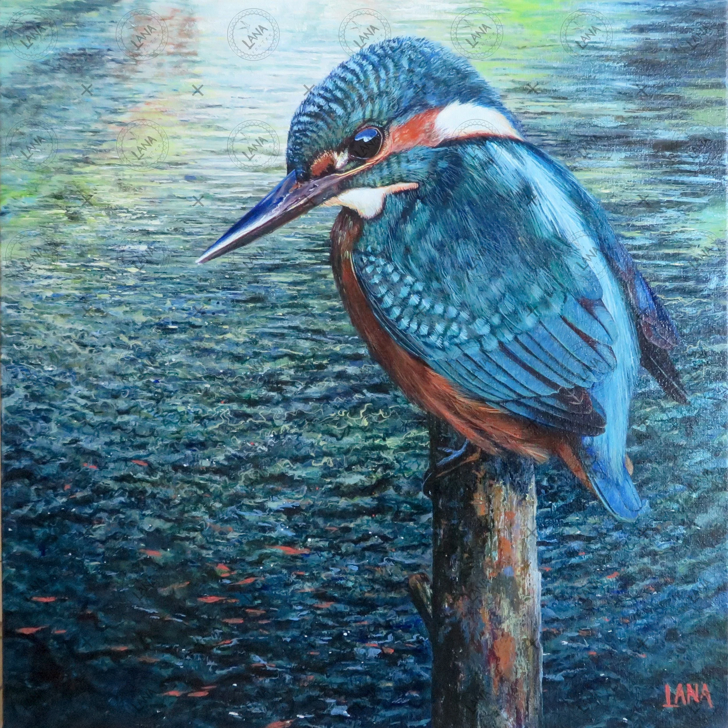 wThe Kingfisher.JPG
