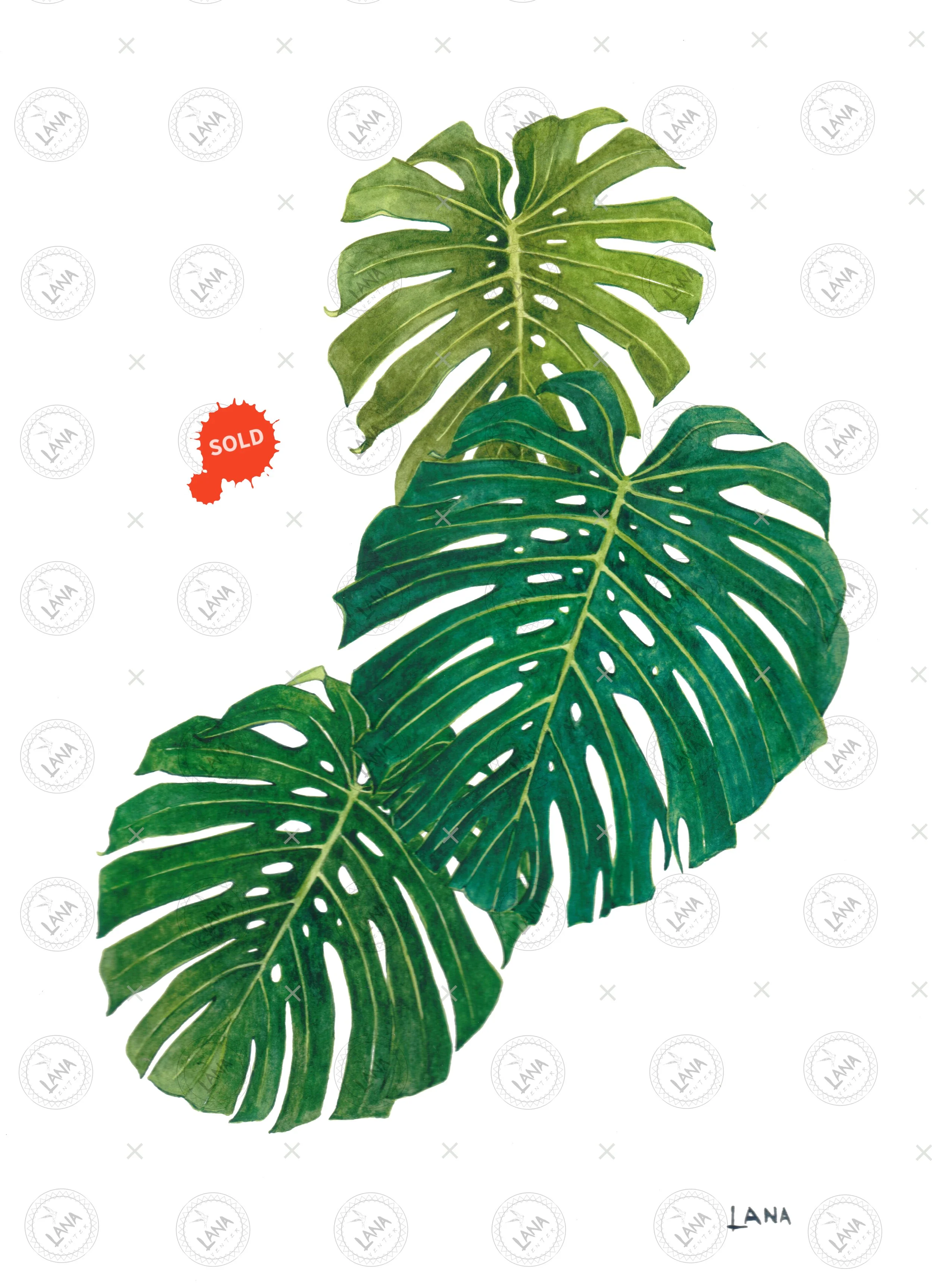 WA409 Triple Delicious Monster.jpg