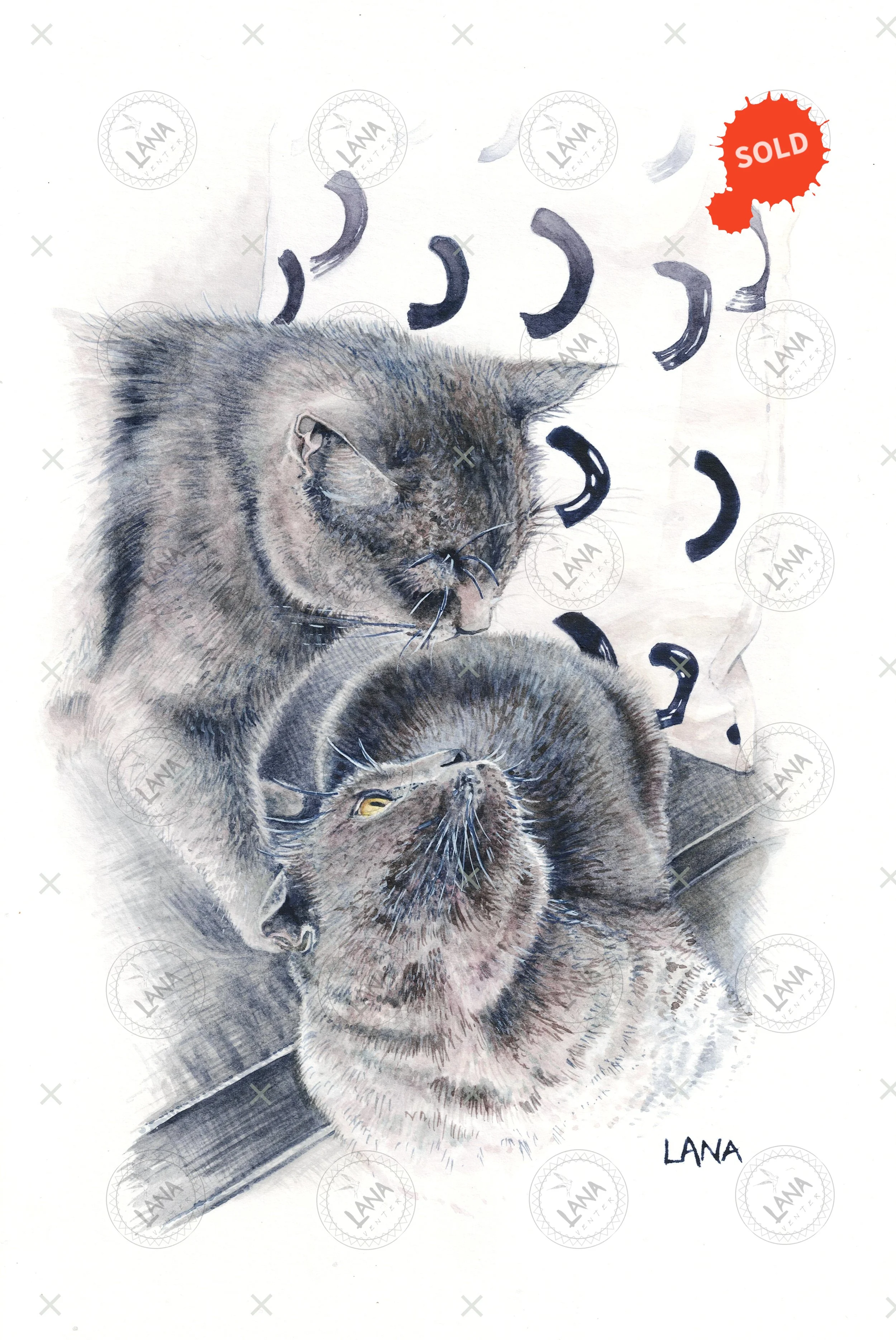 WA5107 Juju and Leo.jpg