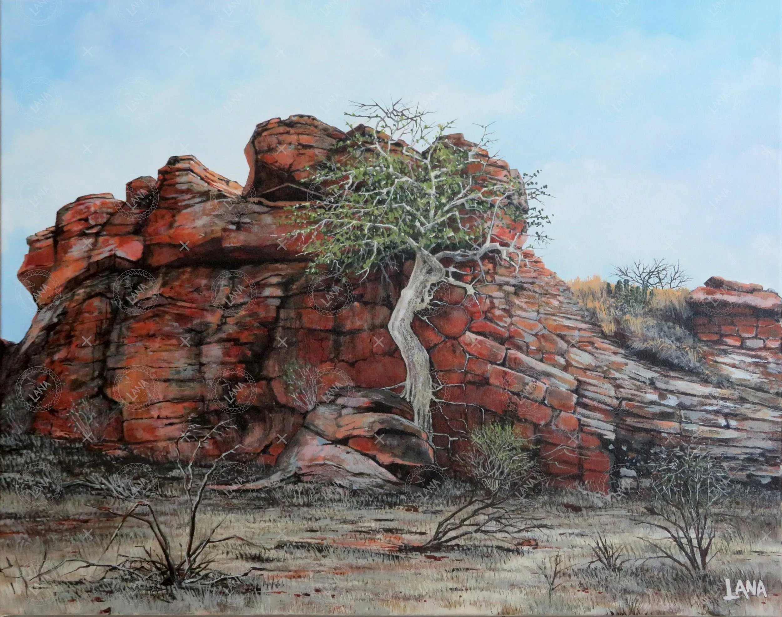 wRooted Rock Fig.JPG