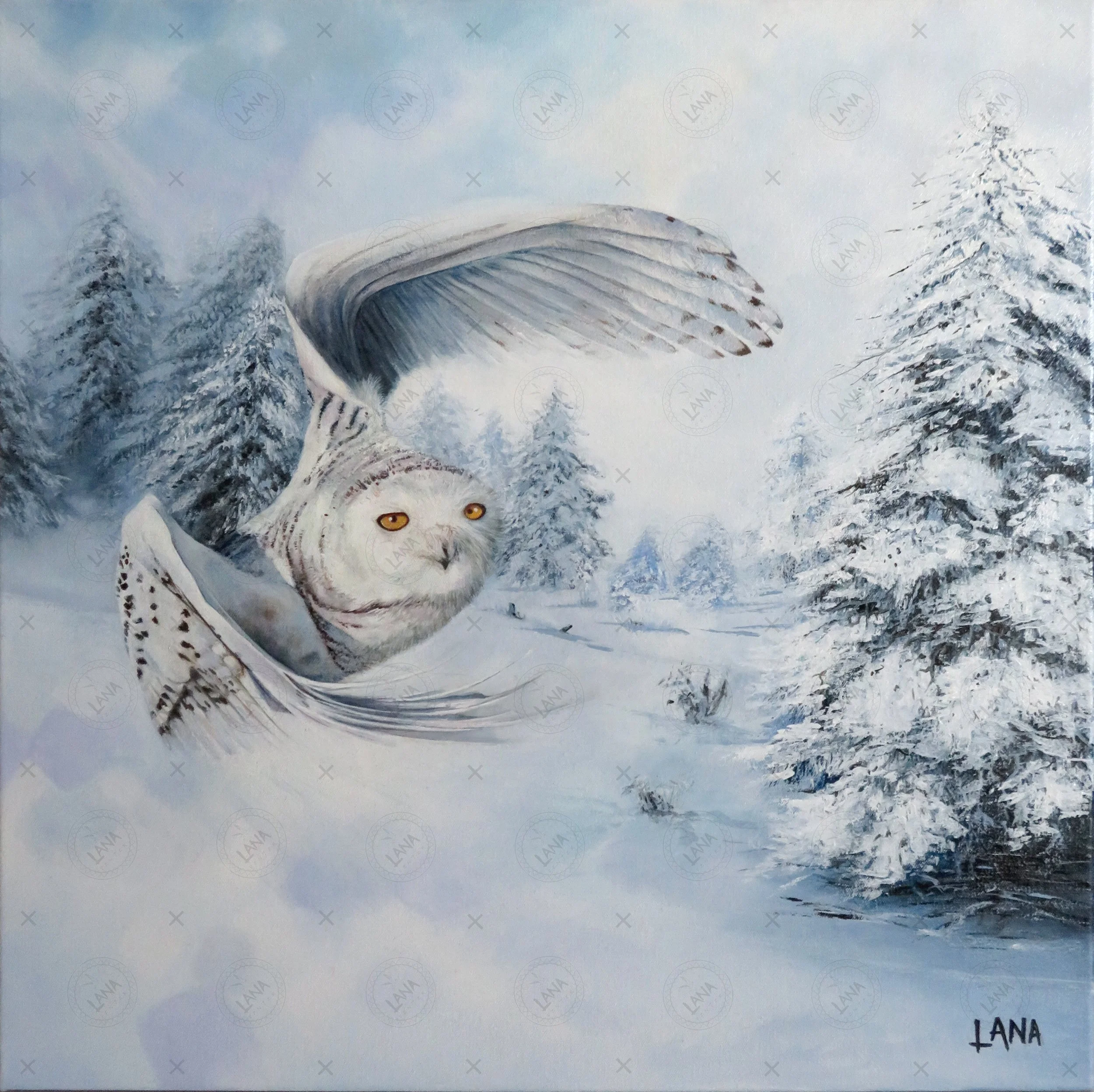 wSnowy Owl.JPG