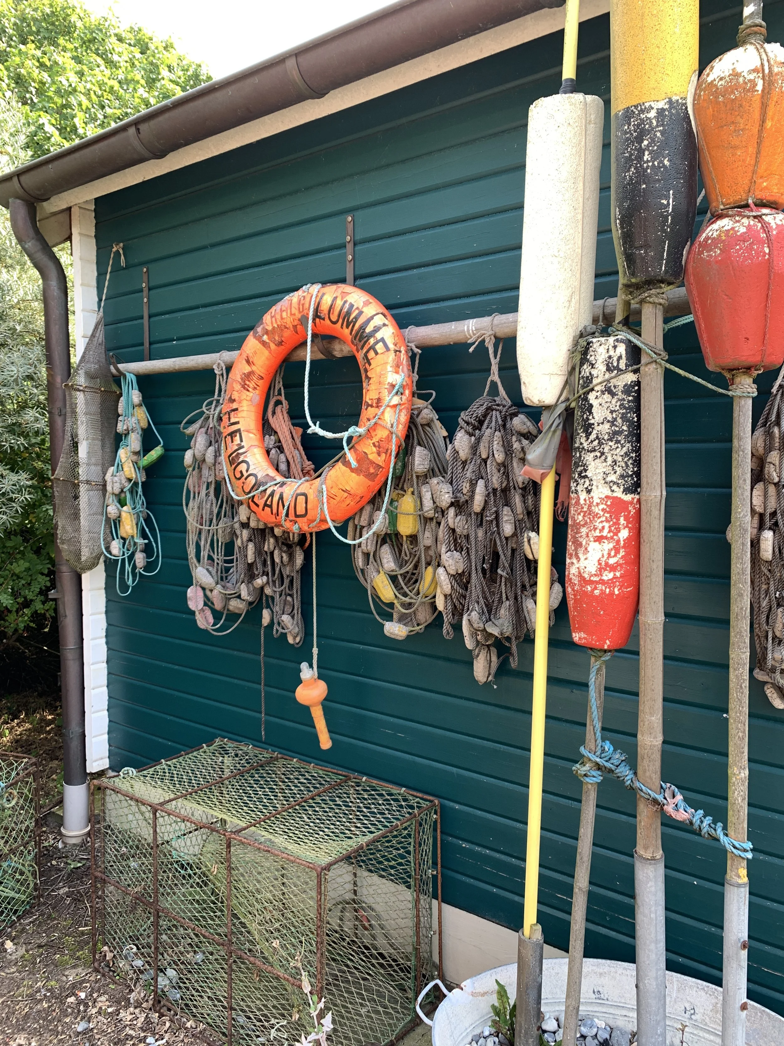 Dorthe Voss für Lesungen buchen