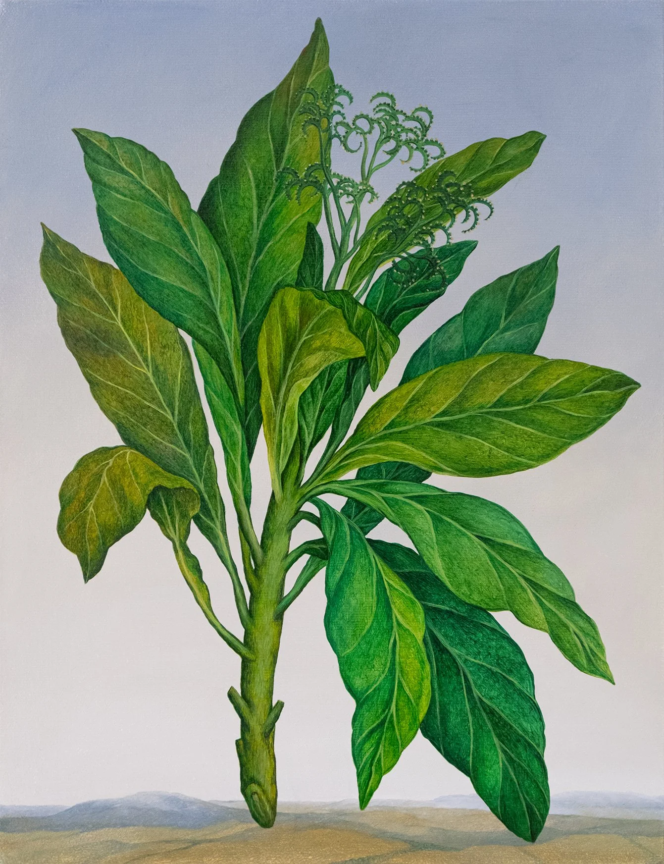 Botanical Etude No. 15 - 3.jpg