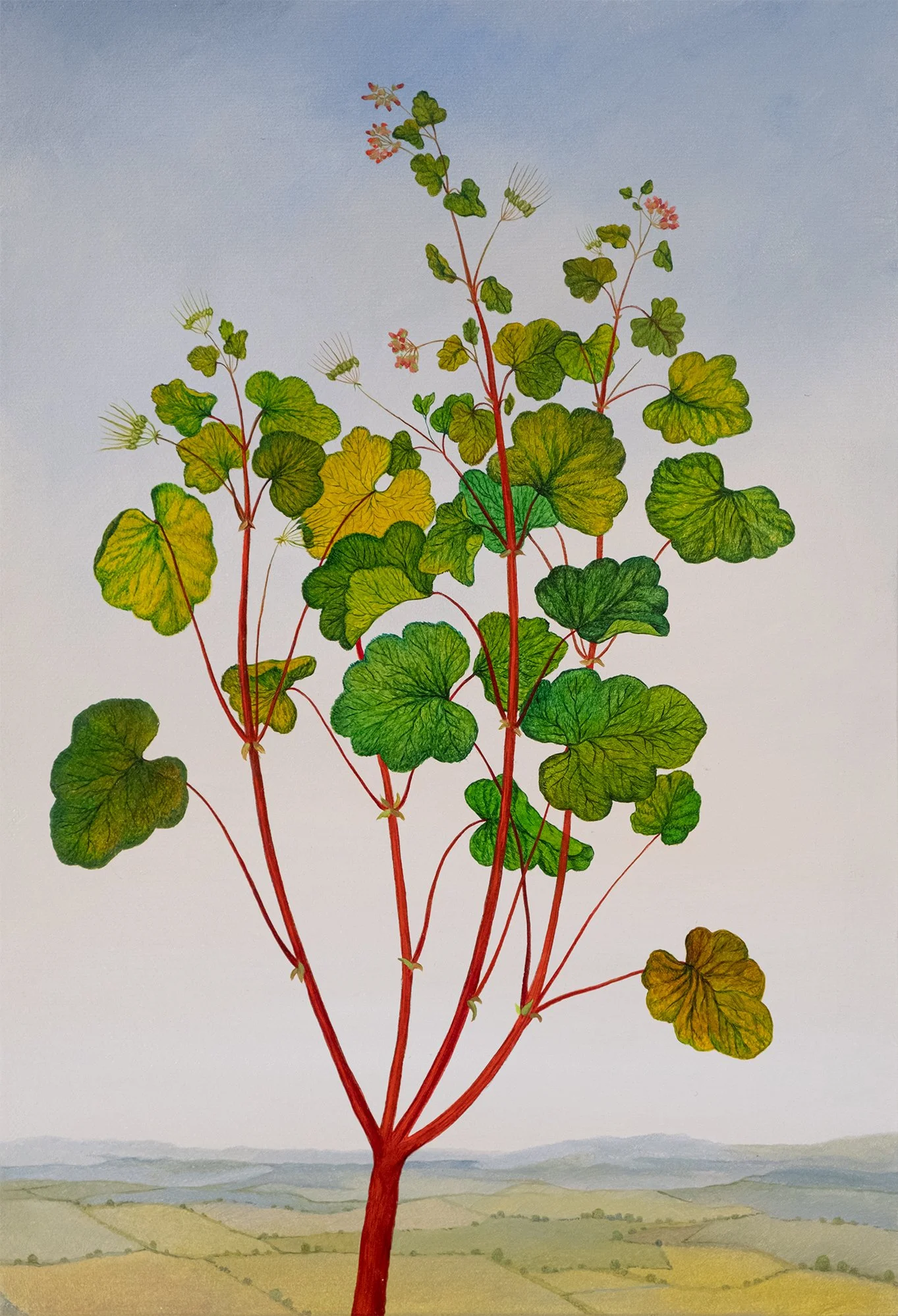 Botanical Etude No. 14 - 3.jpg