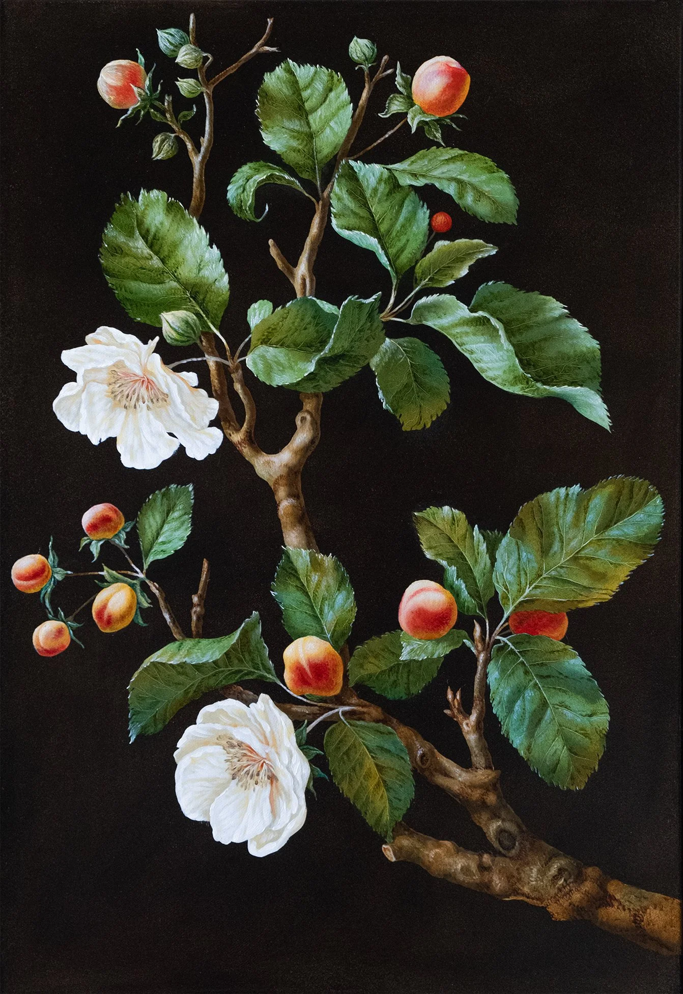 Botanical Etude No. 9-3.jpg