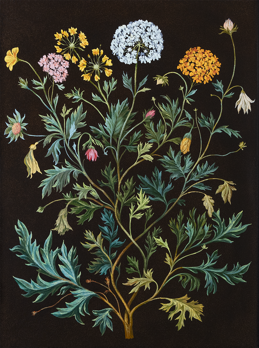 Botanical Etude No. 12-6.png