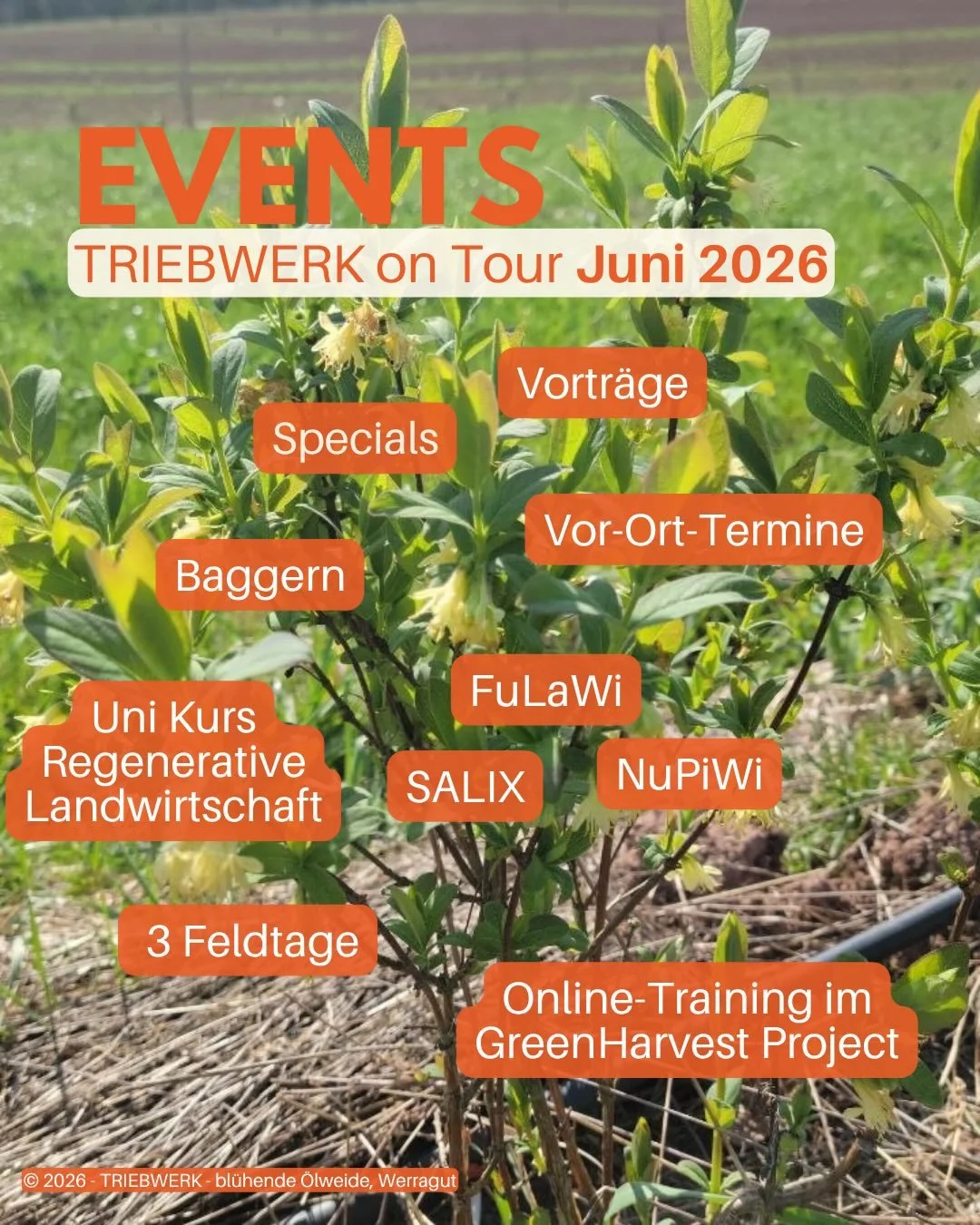 ☀️ 🌳 ☀️ Juni, der Sommer kann kommen, dank ertr&auml;glichem Regen auch in satten Farben. 

🌳🧑&zwj;🌾 Vor Ort Termin mit 🪏🚜 Clara und Max, es wird gebaggert f&uuml;r ein dezentrales R&uuml;ckhaltemuldensystem bei Gerd Bayer in Baden-W&uuml;rttem