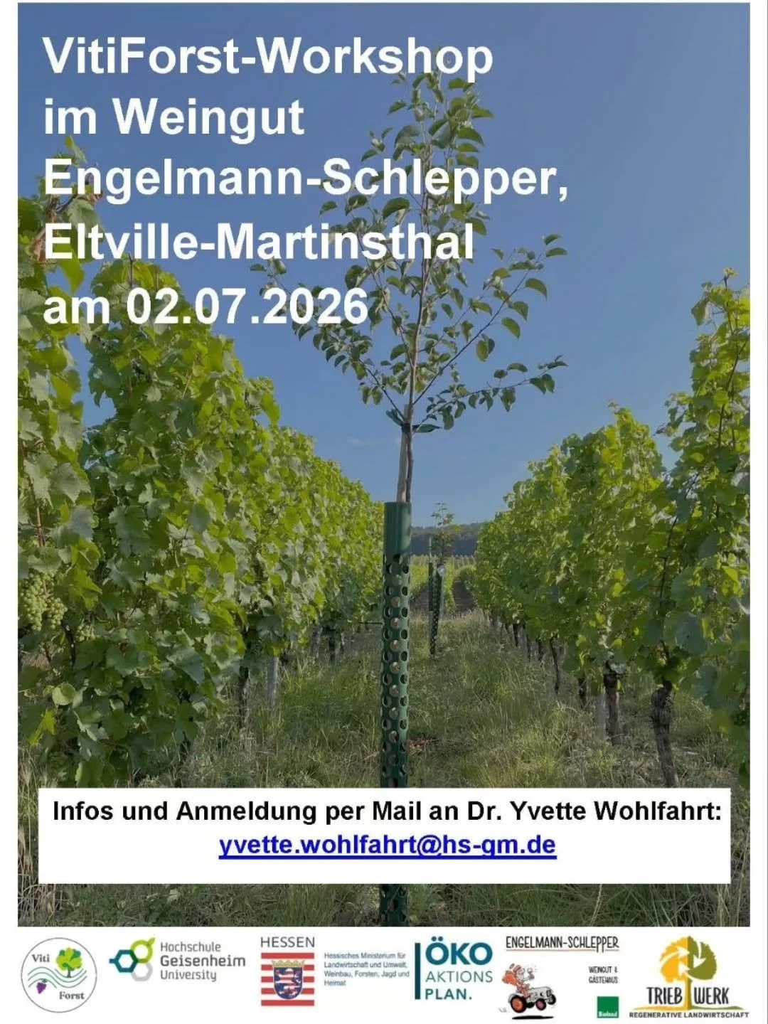 VitiForst-Workshop 🍇🌳

🕗 02.07.2026 mit Triebwerk und dem Weingut Engelmann-Schlepper 

📍Weingut Engelmann-Schlepper in Eltville &ndash; Martinsthal @engelmann_schlepper

👩&zwj;🌾 Der Workshop ist an die weinbauliche Praxis gerichtet, die sich g