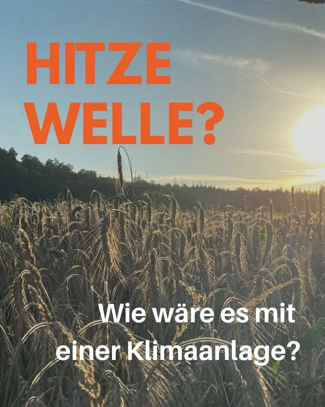 🌡️ Es ist hei&szlig;, richtig hei&szlig;.

🌳 Und wir h&auml;tten da eine Klimaanlage, die ganz ohne Strom auskommt: B&auml;ume. Immer mehr Betriebe pflanzen sie auf ihre Fl&auml;chen, und sie leisten mehr, als man denkt. Sie spenden Schatten, liefe
