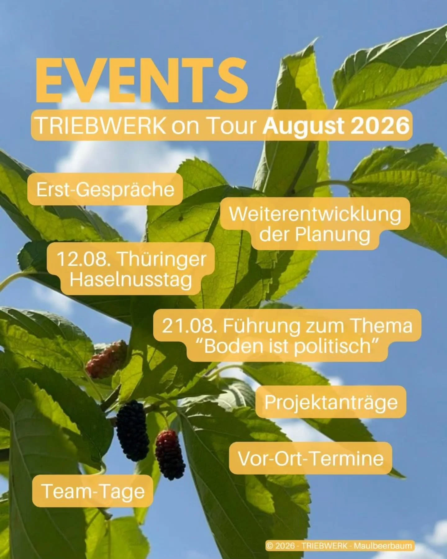 August, &uuml;berall wird geerntet! 🌾 

Bei uns ist es dagegen etwas ruhiger, viele von uns sind im Urlaub. Trotzdem stehen einige Programmpunkte an:

🌰 12.08.: Marie ist auf dem Haselnusstag nach Th&uuml;ringen unterwegs. 
🤝 17.08. bis 19.08. Wir