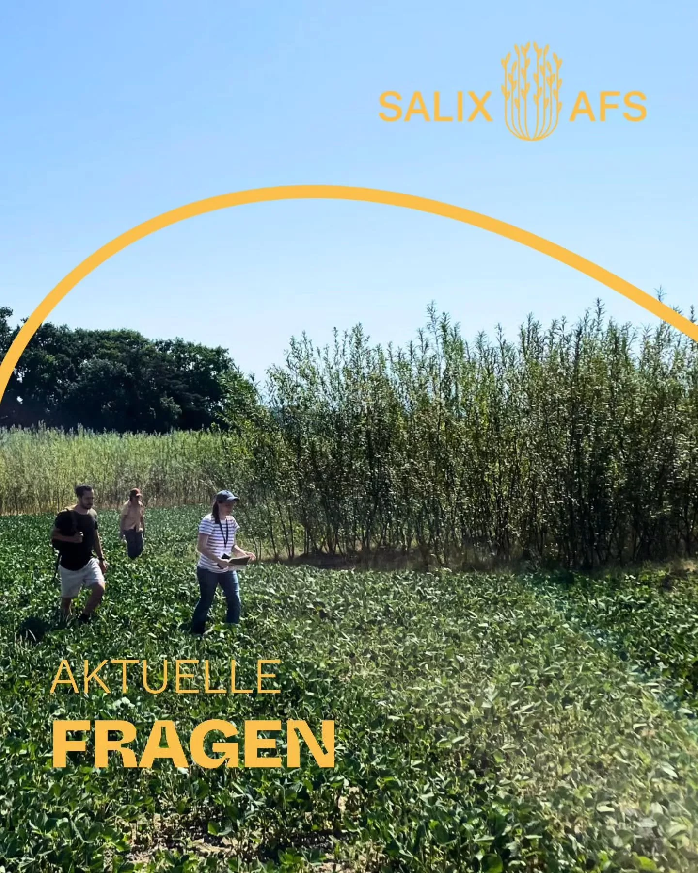 Aktuelle Fragen #SALIXAFS

In #SALIX arbeiten Partner aus Anbau, Materialwissenschaft, Textiltechnik, Architektur, &Ouml;kologie, Betriebswirtschaft, Industrie und Ingenieurwesen gemeinsam an der Entwicklung des Massivholzfadens. Dabei betrachten wir