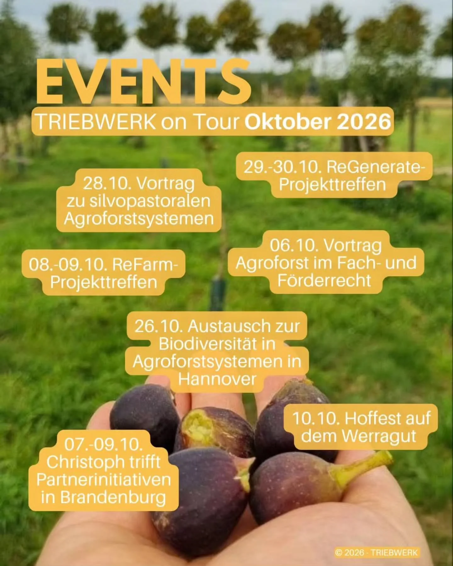 Im Herbst geht es wieder voll los! 🍂

Wir sind im Oktober unterwegs, nehmen an Treffen teil, besuchen Veranstaltungen oder teilen unser Wissen. Folgende Termine stehen an: 

💻 06.10. Christoph h&auml;lt online einen Vortrag zum Fach- und F&ouml;rde