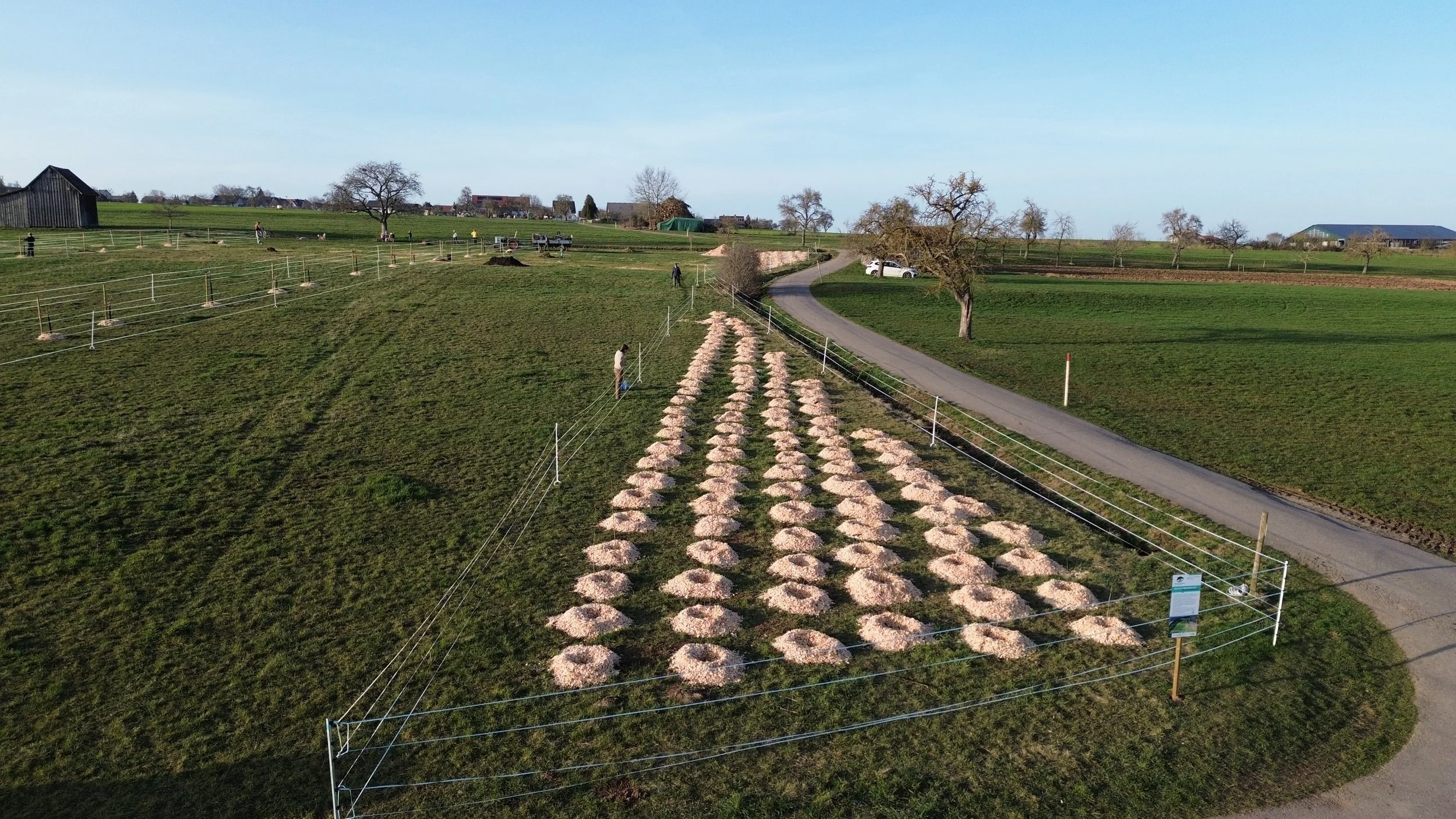 DJI_0725.JPG