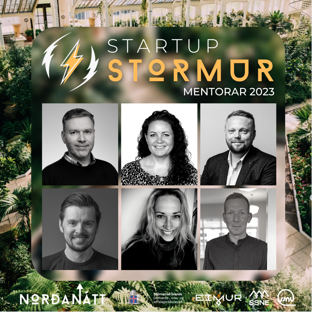 Six New Mentors in Startup Storm