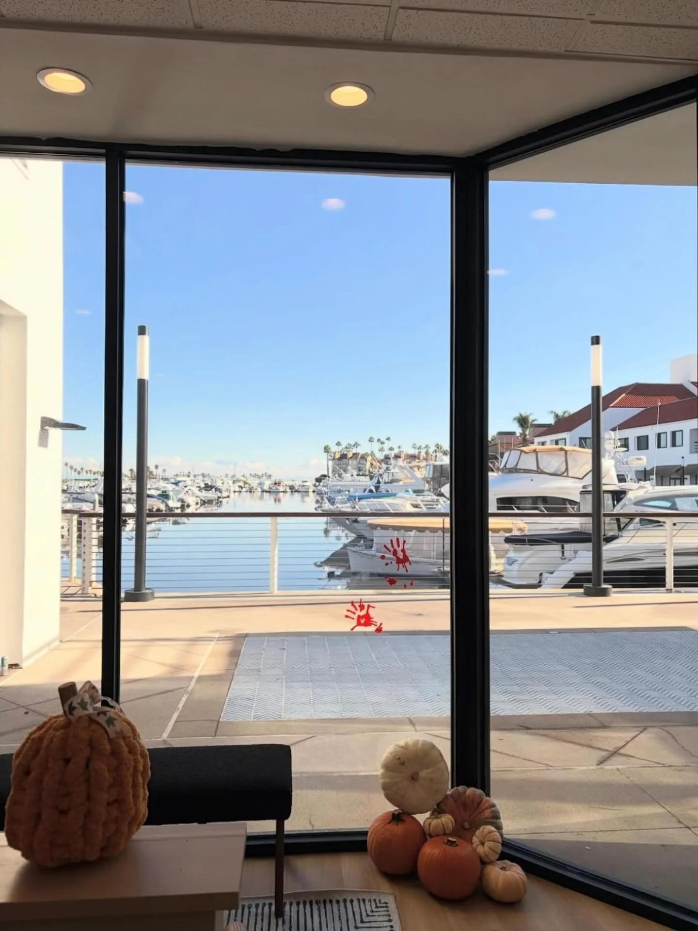 In their spooky era π»β¨ @houseofchiropractic_ is keeping things balanced, festive, and full of good vibes this season. Have you gotten adjusted yet? π‍βοΈπ§‘