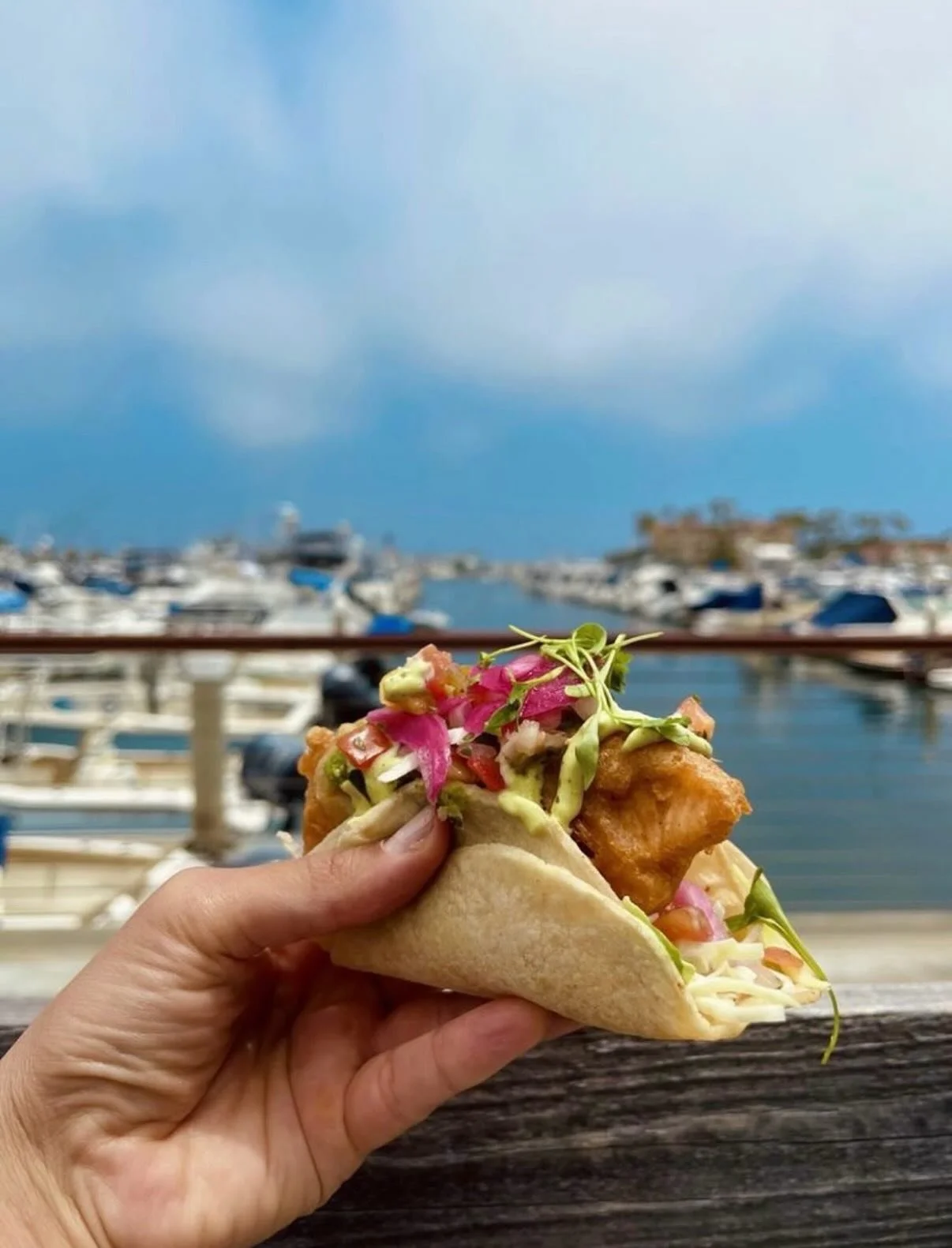 Marina views + Mango Cart + fish tacos = the only Memorial Day plans you need 🌊🌮🍺 @goldenroadpubhb