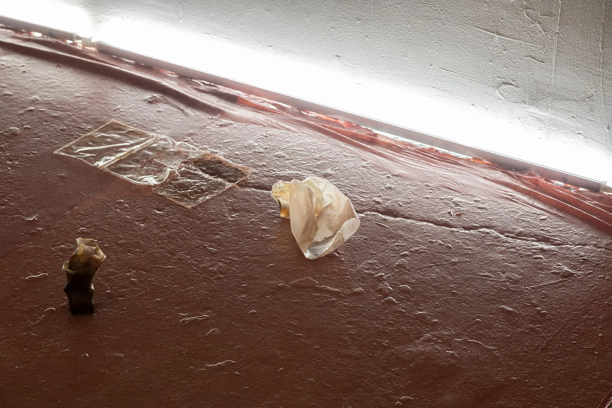 Vessels cast in photographic emulsion rest on latex