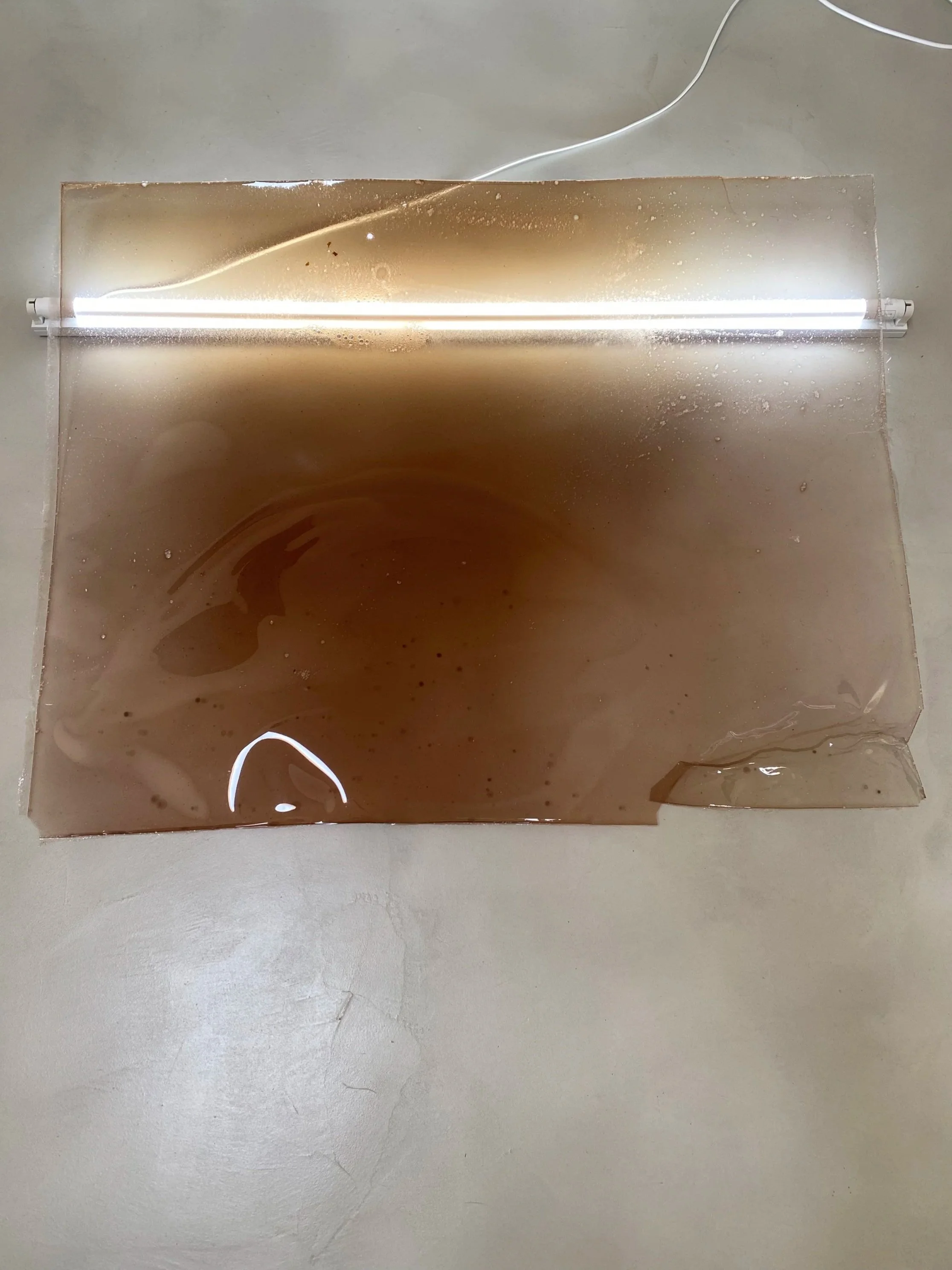 IMMATERIAL+SKIN_2026.jpg