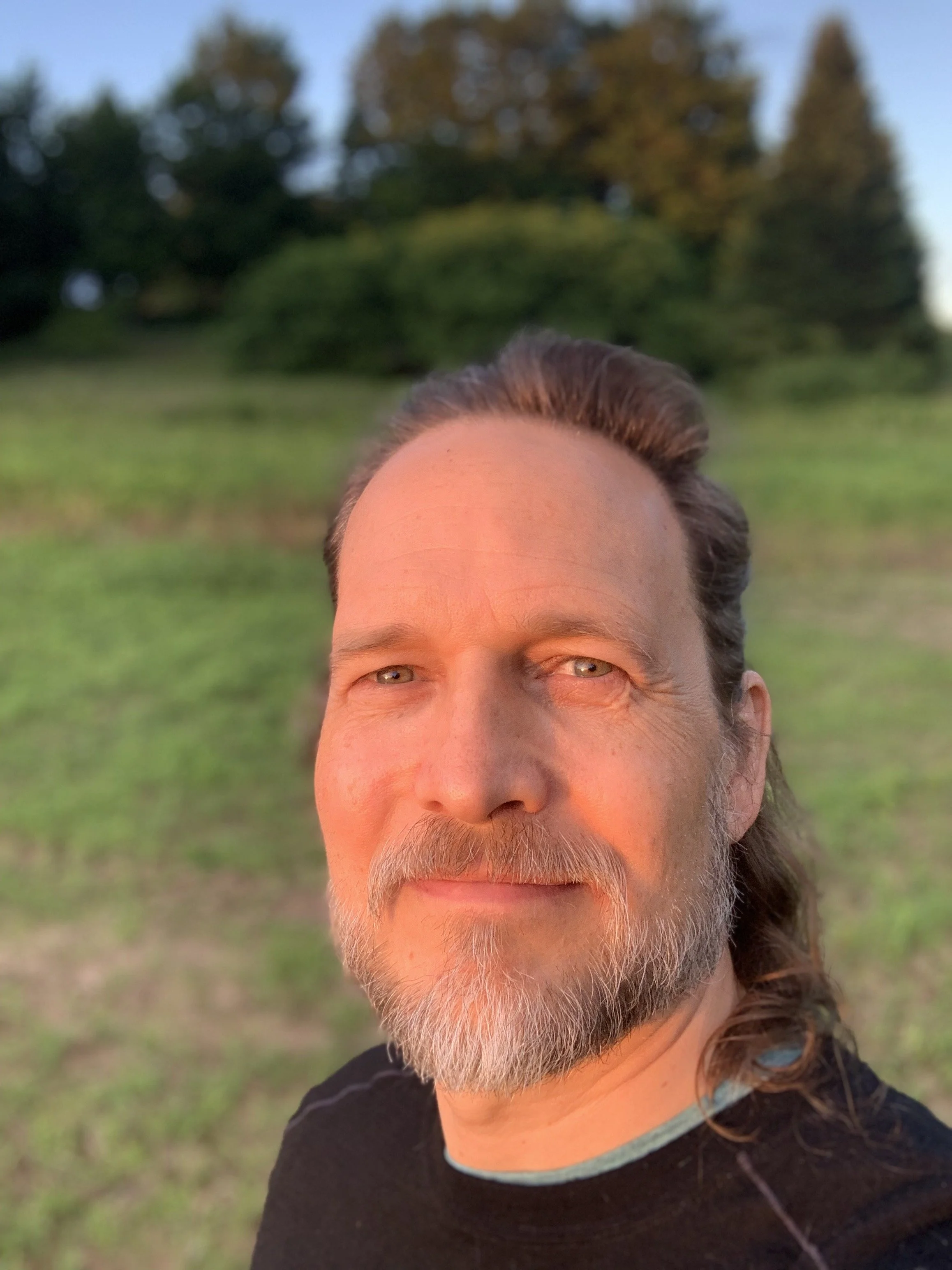 About 1 — Kurt Stavenhagen