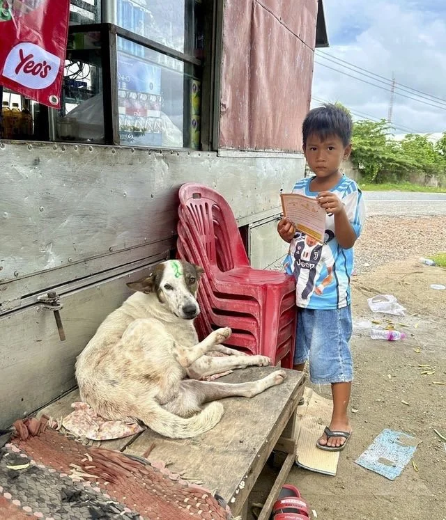 Eliminating canine rabies in Phnom Penh and Kandal provinces, Cambodia
