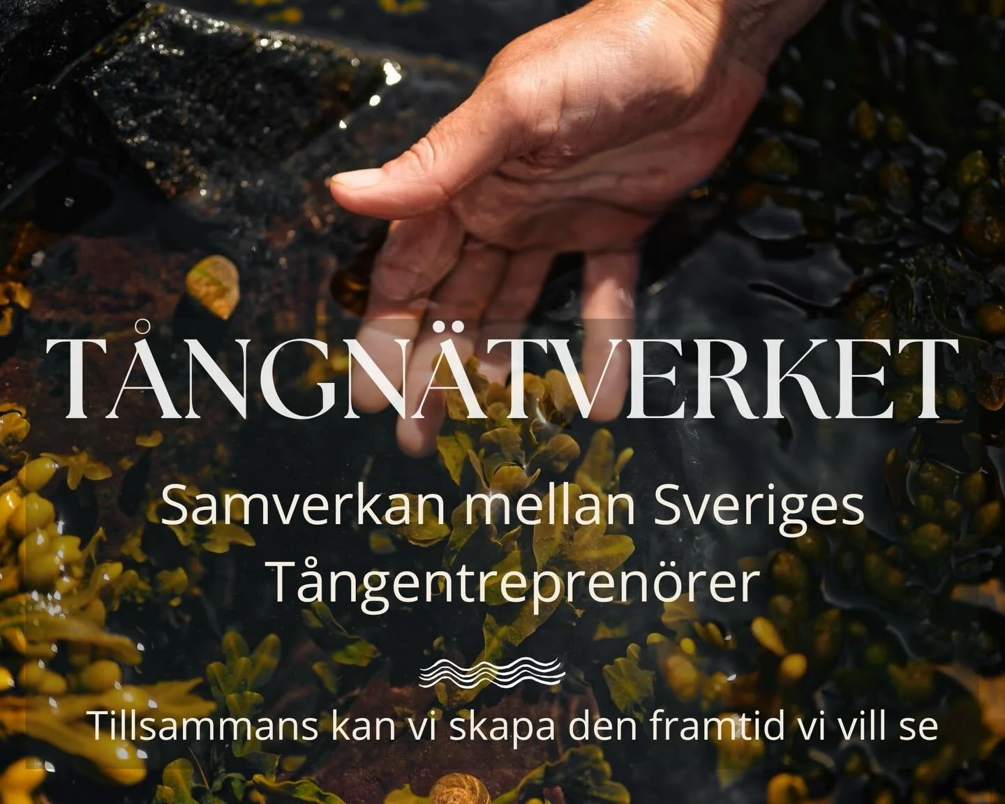 Tillsammans kan vi skapa den framtid vi vill se. 

F&ouml;rra veckan fick jag tillsammans med @lindastaaf m&ouml;jlighet att h&aring;lla f&ouml;redrag och workshops med akt&ouml;rer som p&aring; olika vis arbetar med turism, platsutveckling, m&aring;