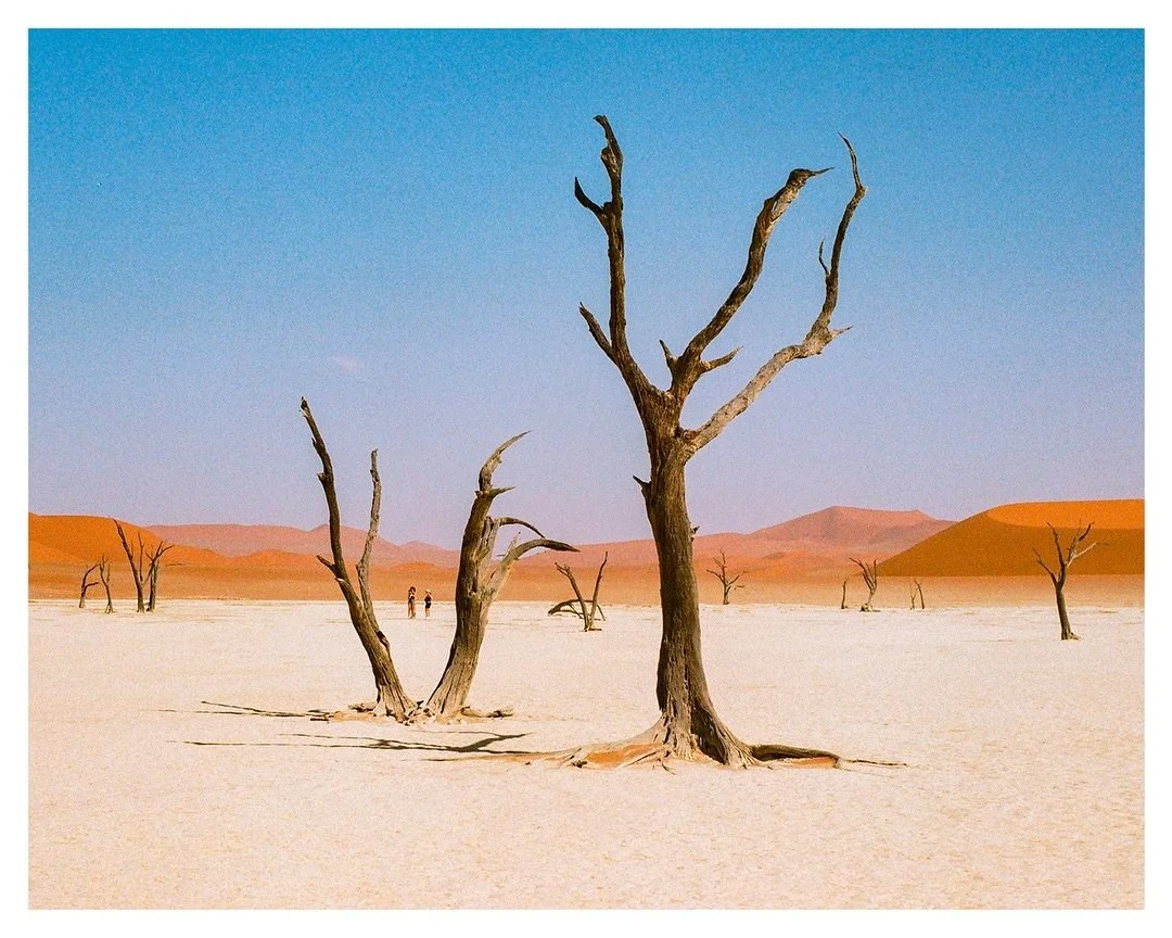 Travel memories // Desert landscapes of Namibia 🏜️

Revisiting these because this country is unbelievably beautiful and also I wanted to add some deep orange tones back into my grid hehe 🧡 So many various colours of desert hues, ever changing as th