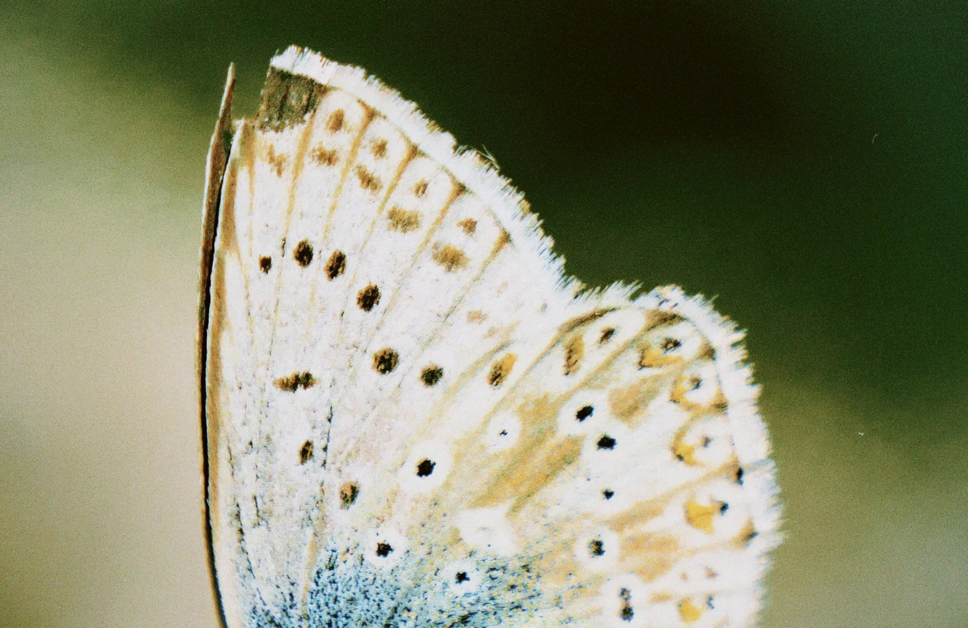 classicu 2025-10-01 105103.977.JPG